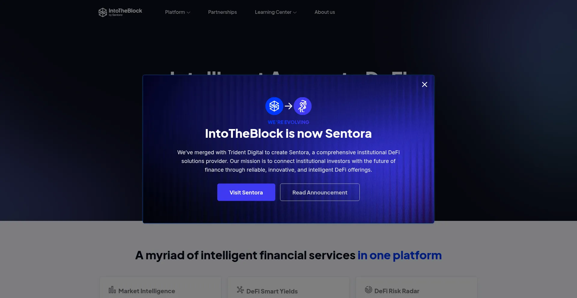 Website screenshot of Intotheblock.com