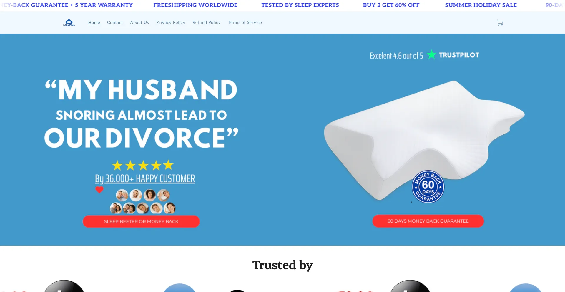 Website screenshot of Iscloudpillow.store