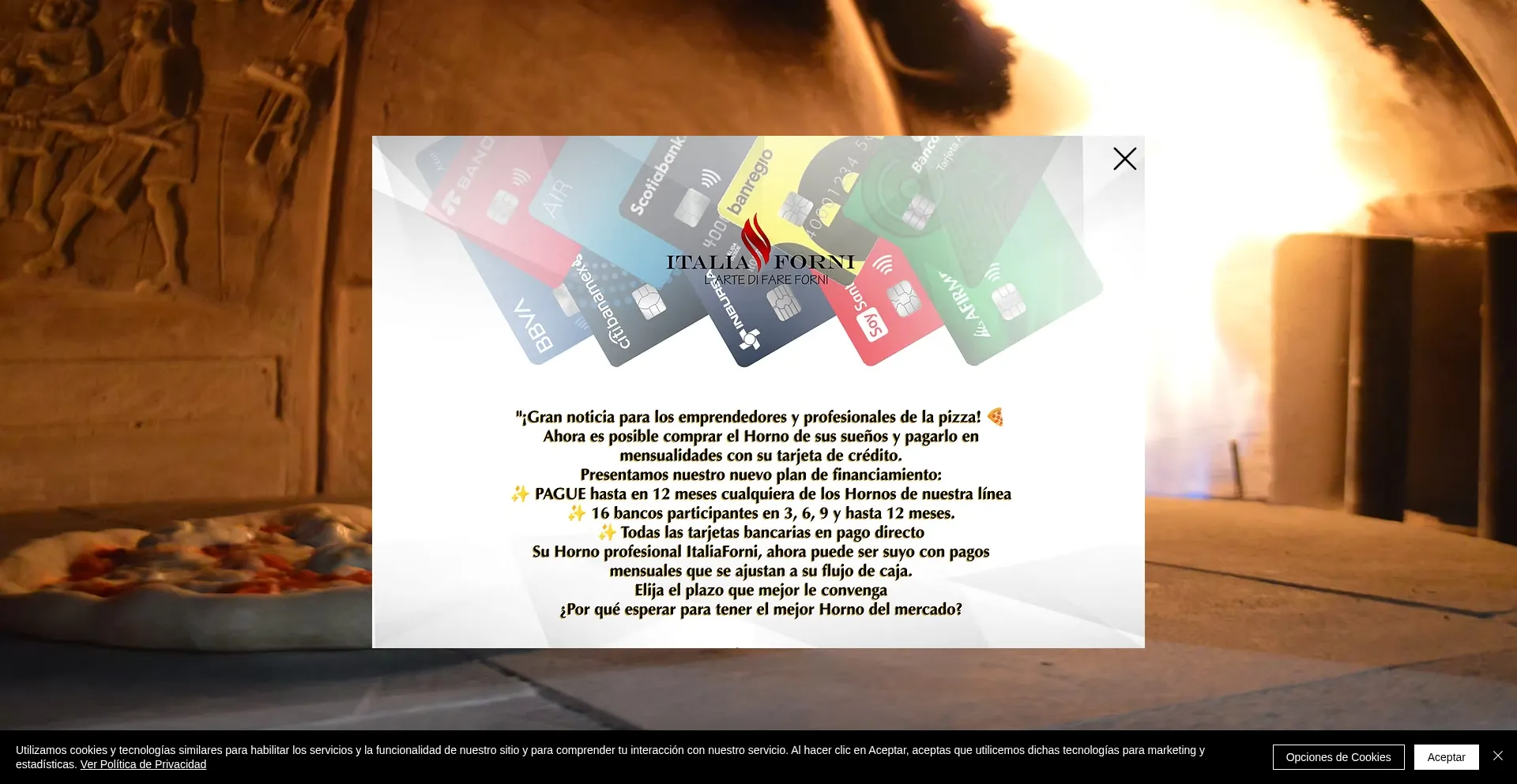 Italiaforni.net é Seguro e Confiável?
