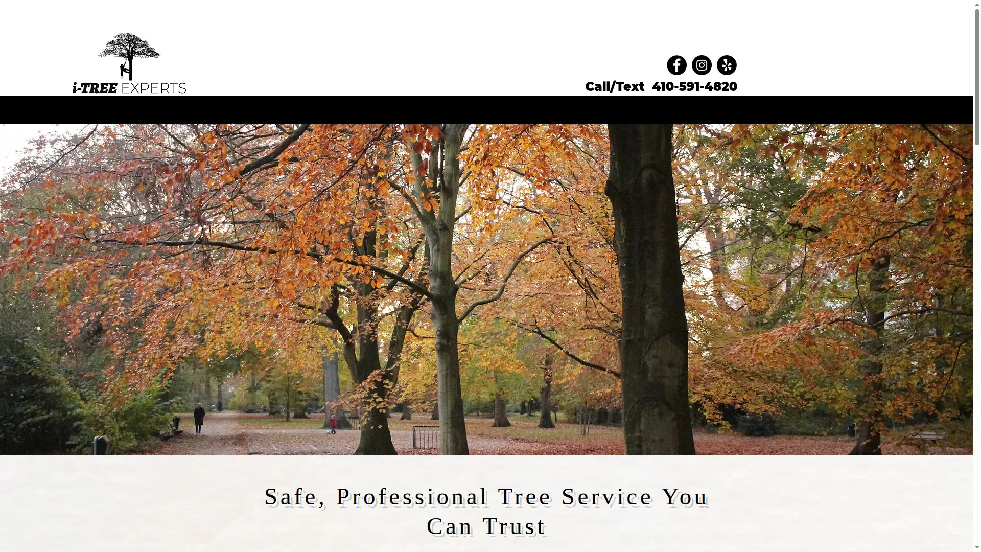 Itreeexperts.com