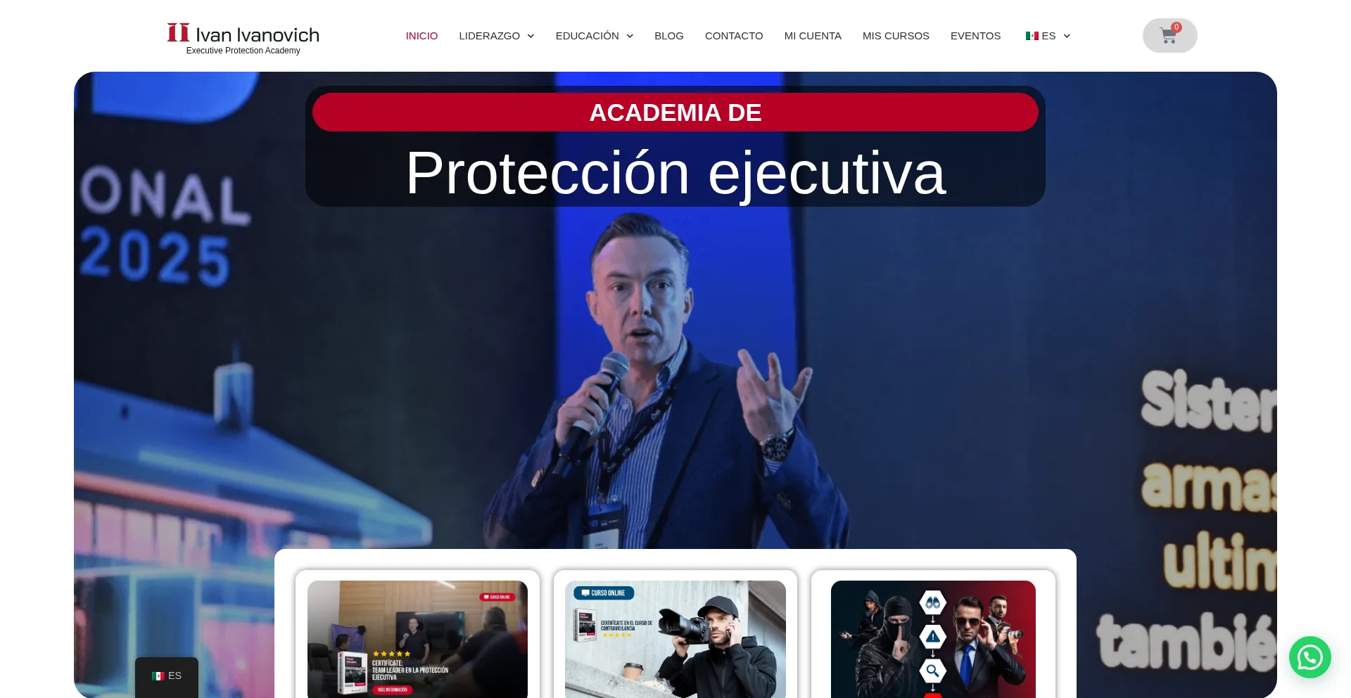 Website screenshot of Ivanivanovich.com