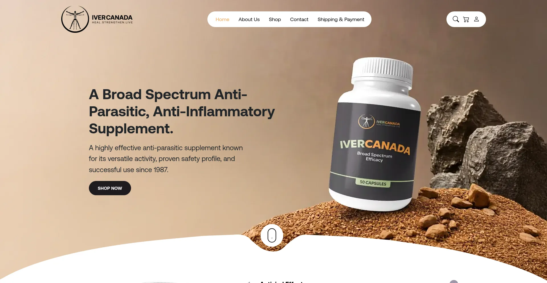 Ivercanada.com é Seguro e Confiável?
