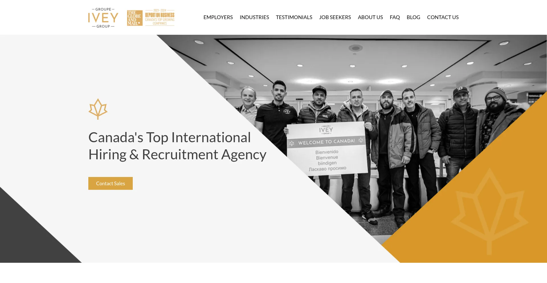 Website screenshot of Iveygroup.ca