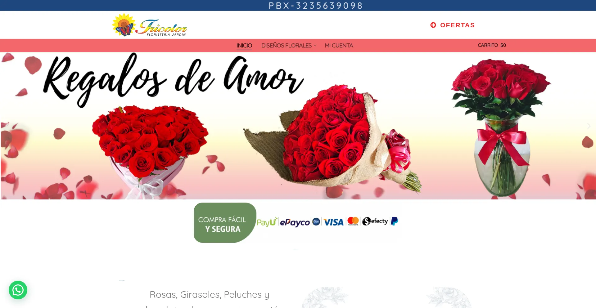 Jardintricolor.com é Seguro e Confiável?