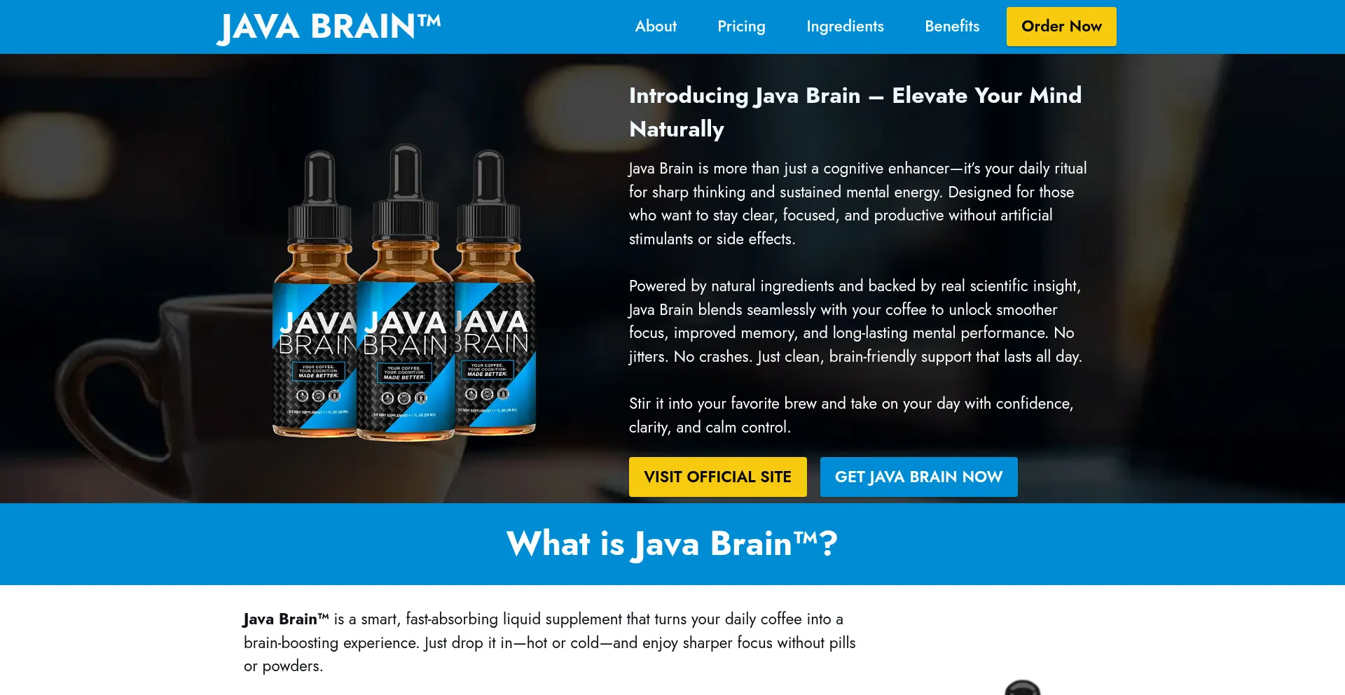 Java-javabrain.com é Seguro e Confiável?
