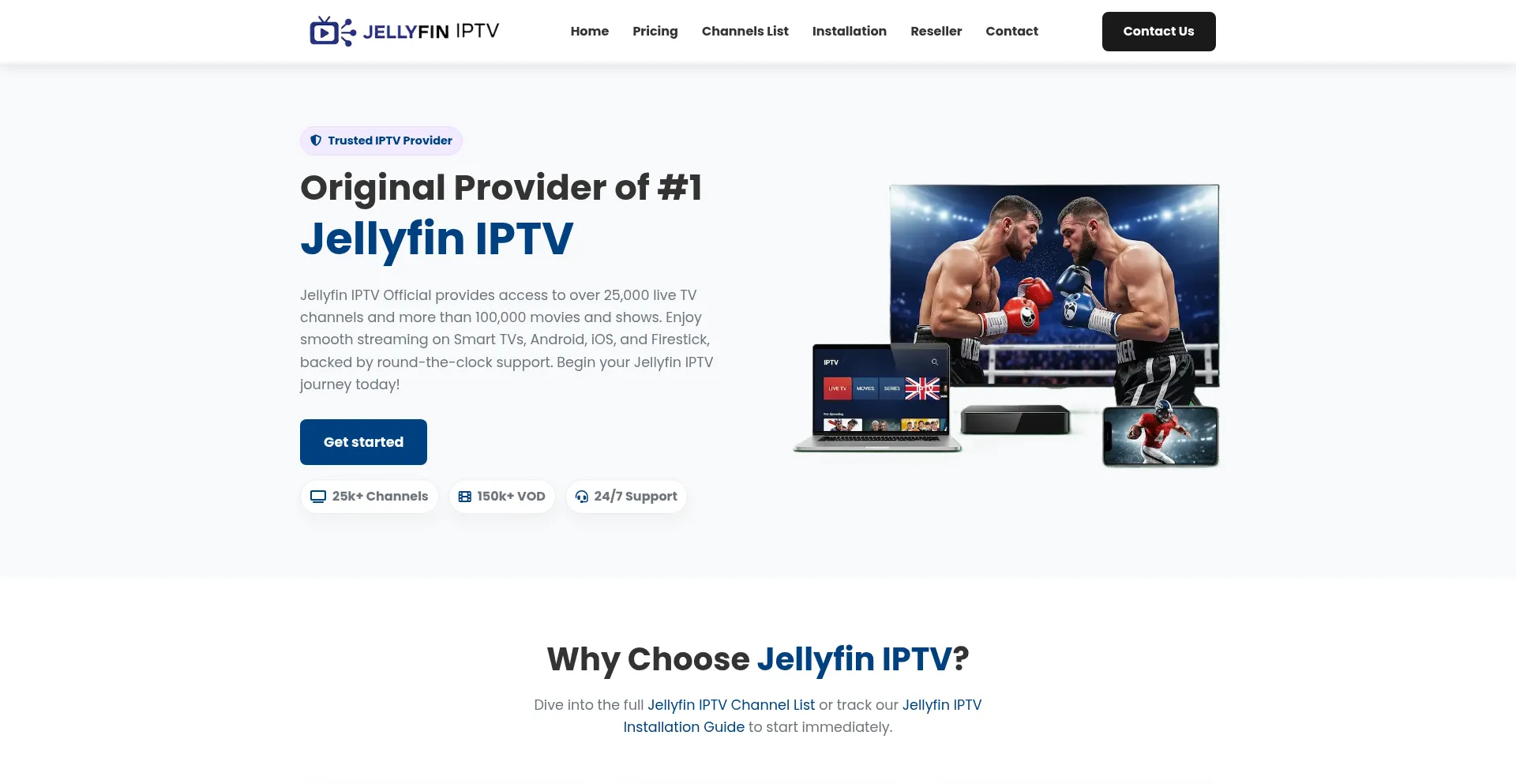 Jellyfiniptv.com