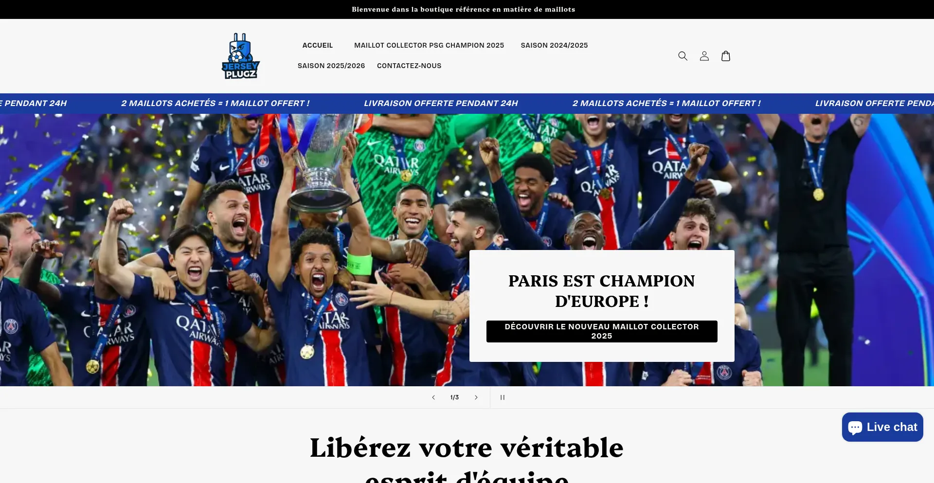 Website screenshot of Jerseyplugz.fr