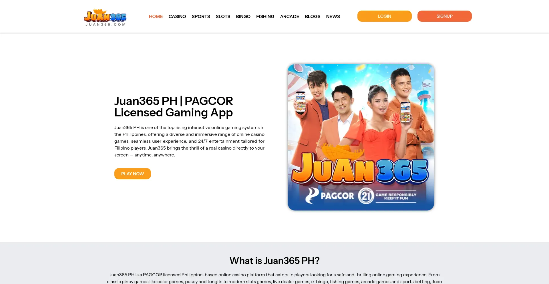 Website screenshot of Juan-365.ph