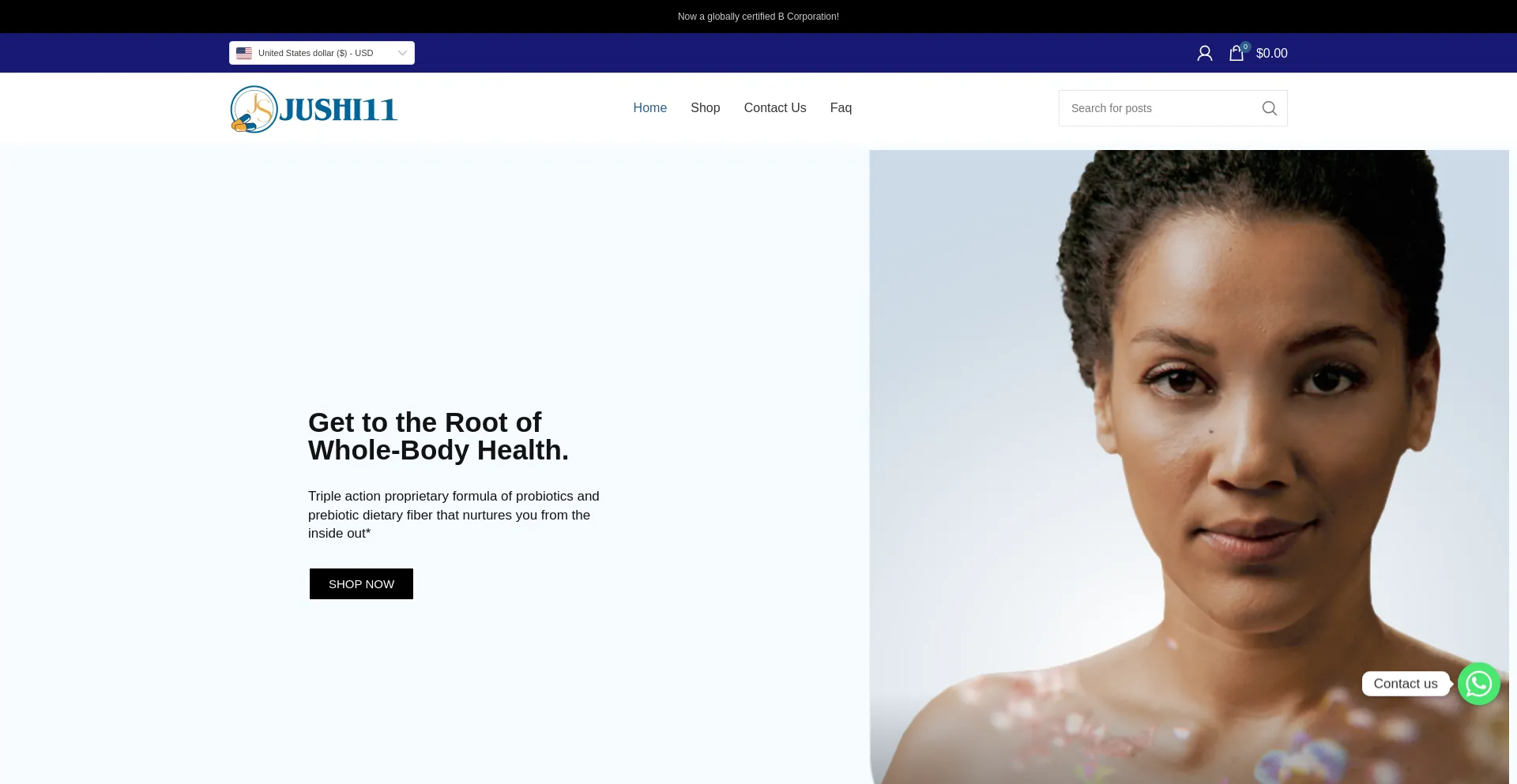 Website screenshot of Jushi11.top