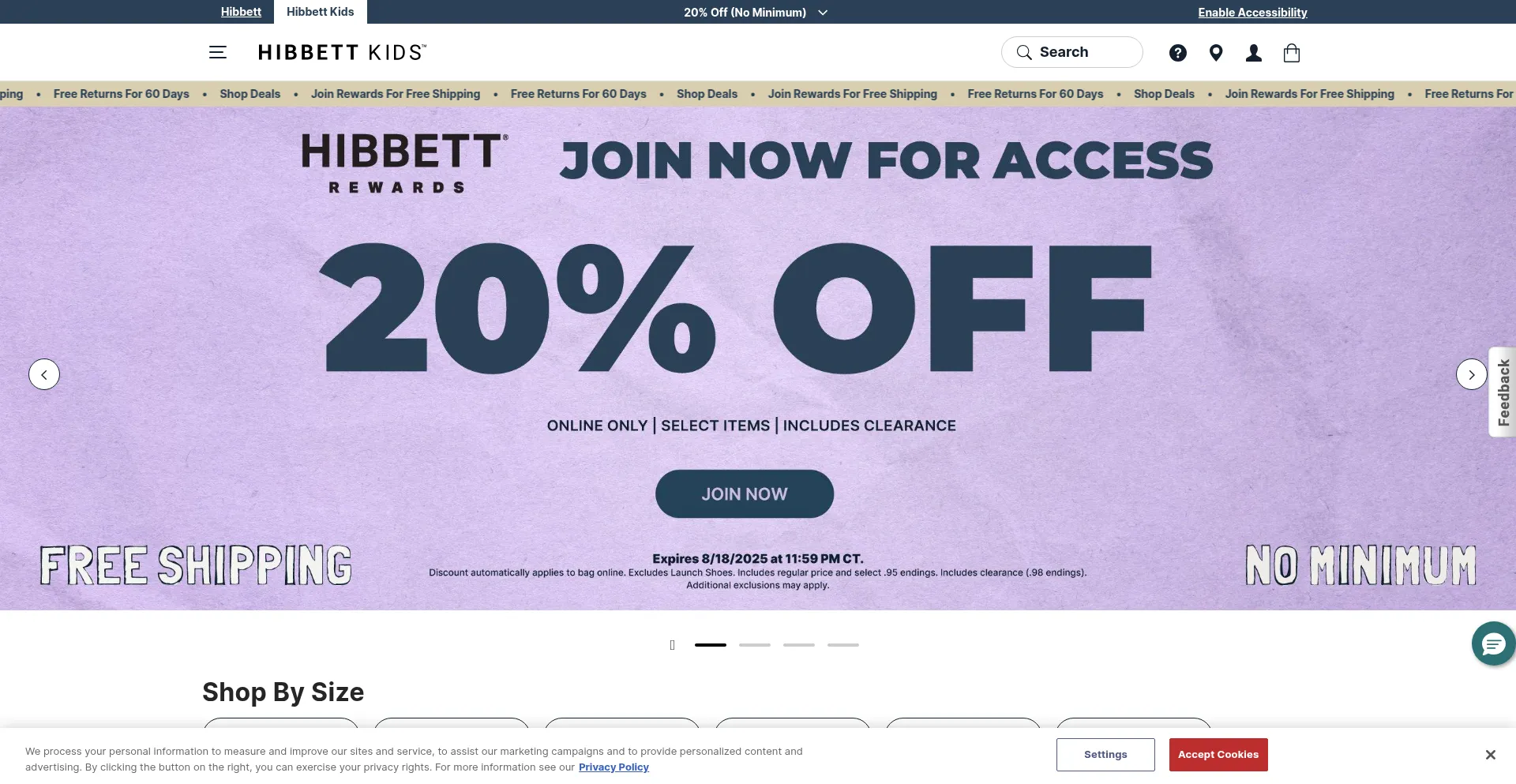 Website screenshot of Kidshibbett.com