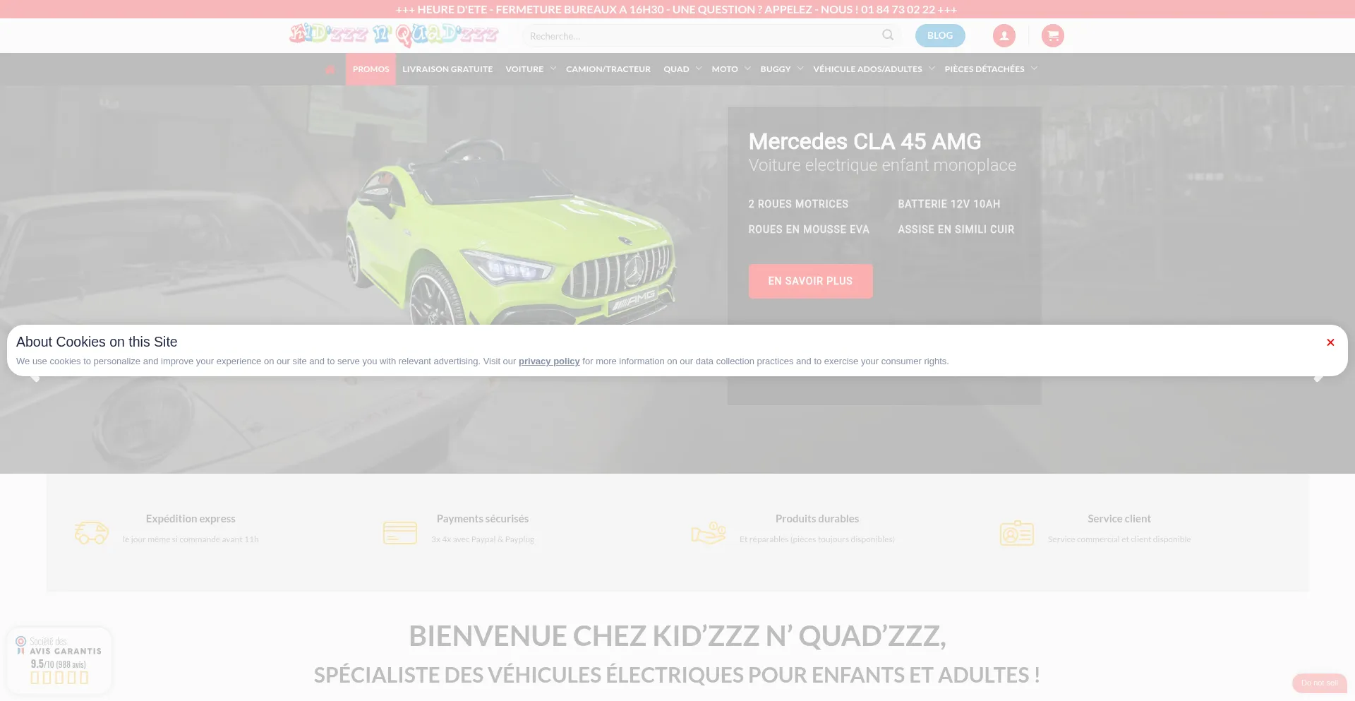 Website screenshot of Kidzzz-n-quadzzz.com
