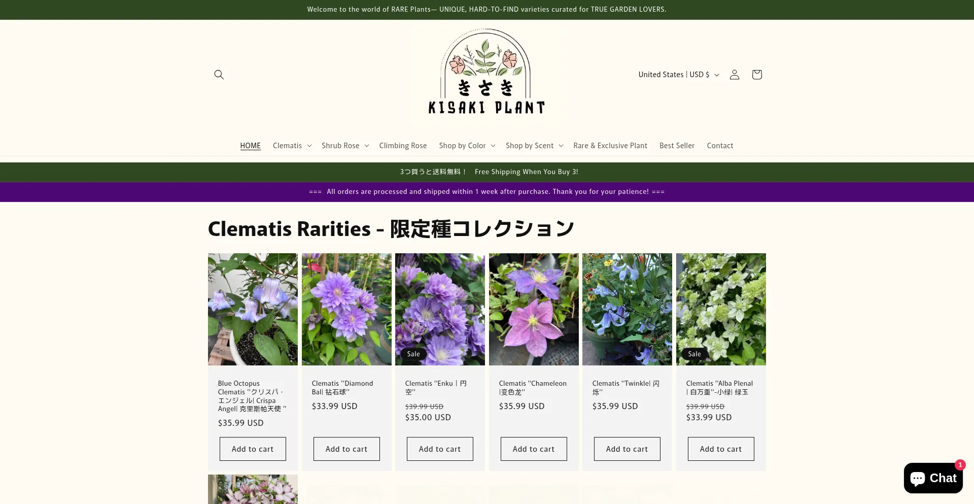 Kisakiplant.com