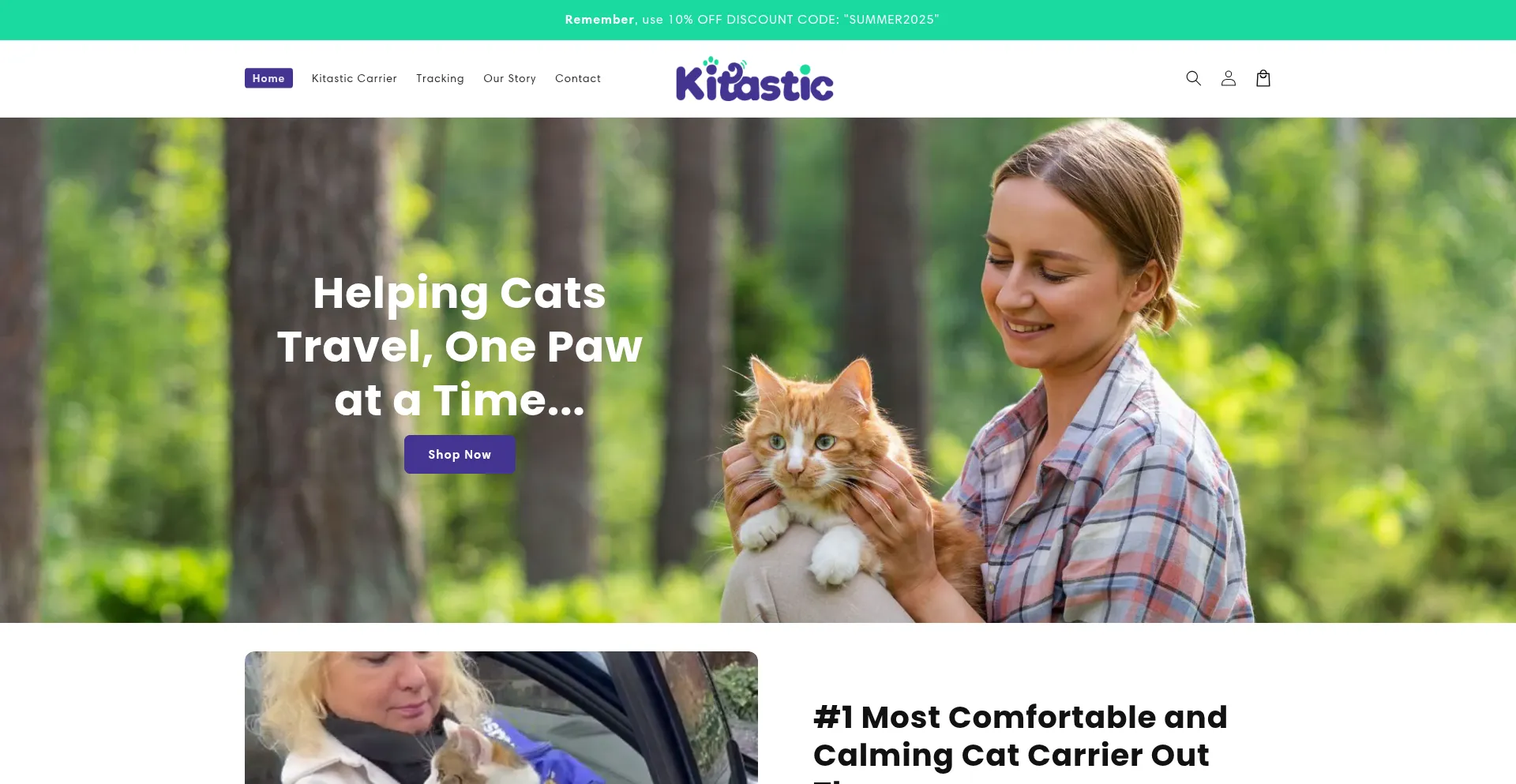 Website screenshot of Kitastic.com