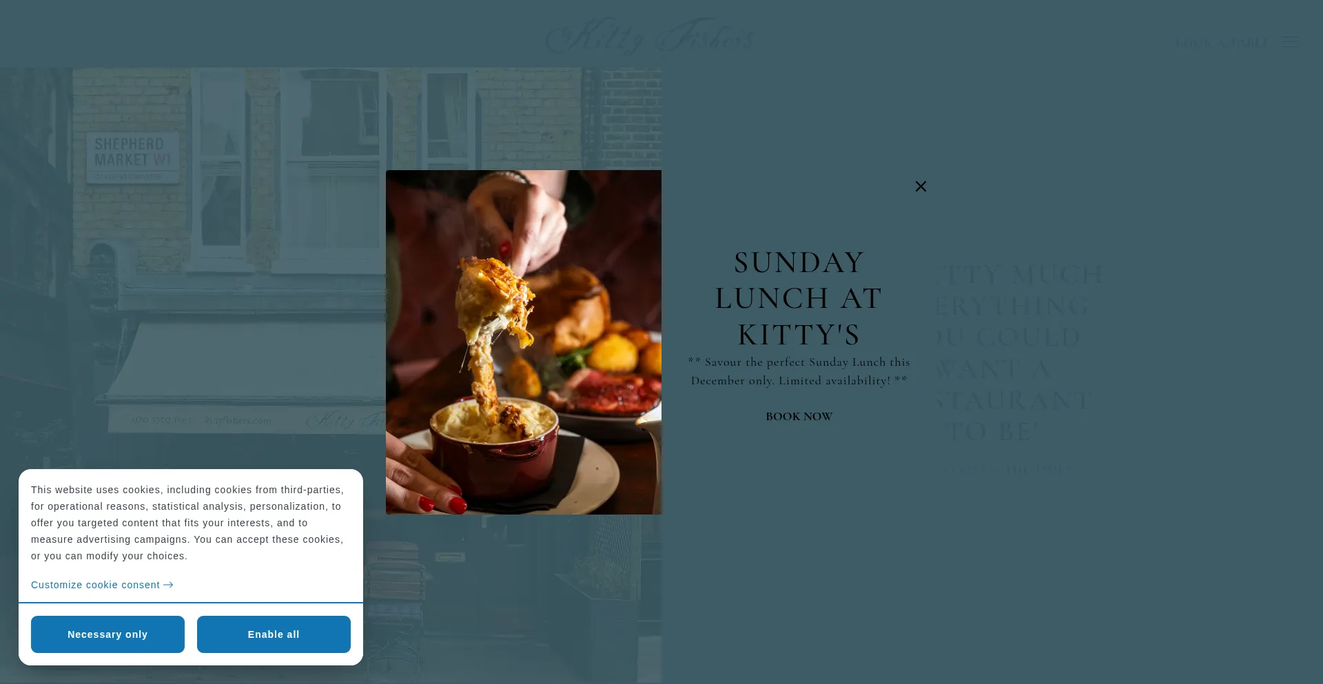 Kittyfishers.com