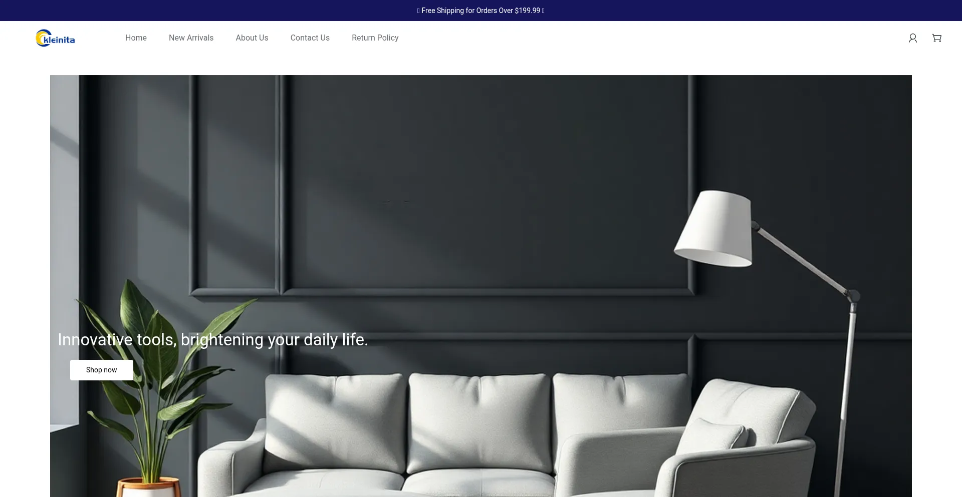 Website screenshot of Kleinita.com