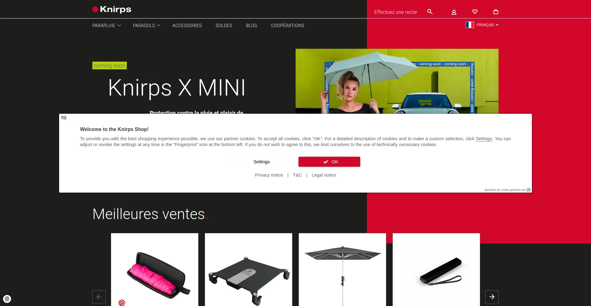 Knirps.fr é Seguro e Confiável?