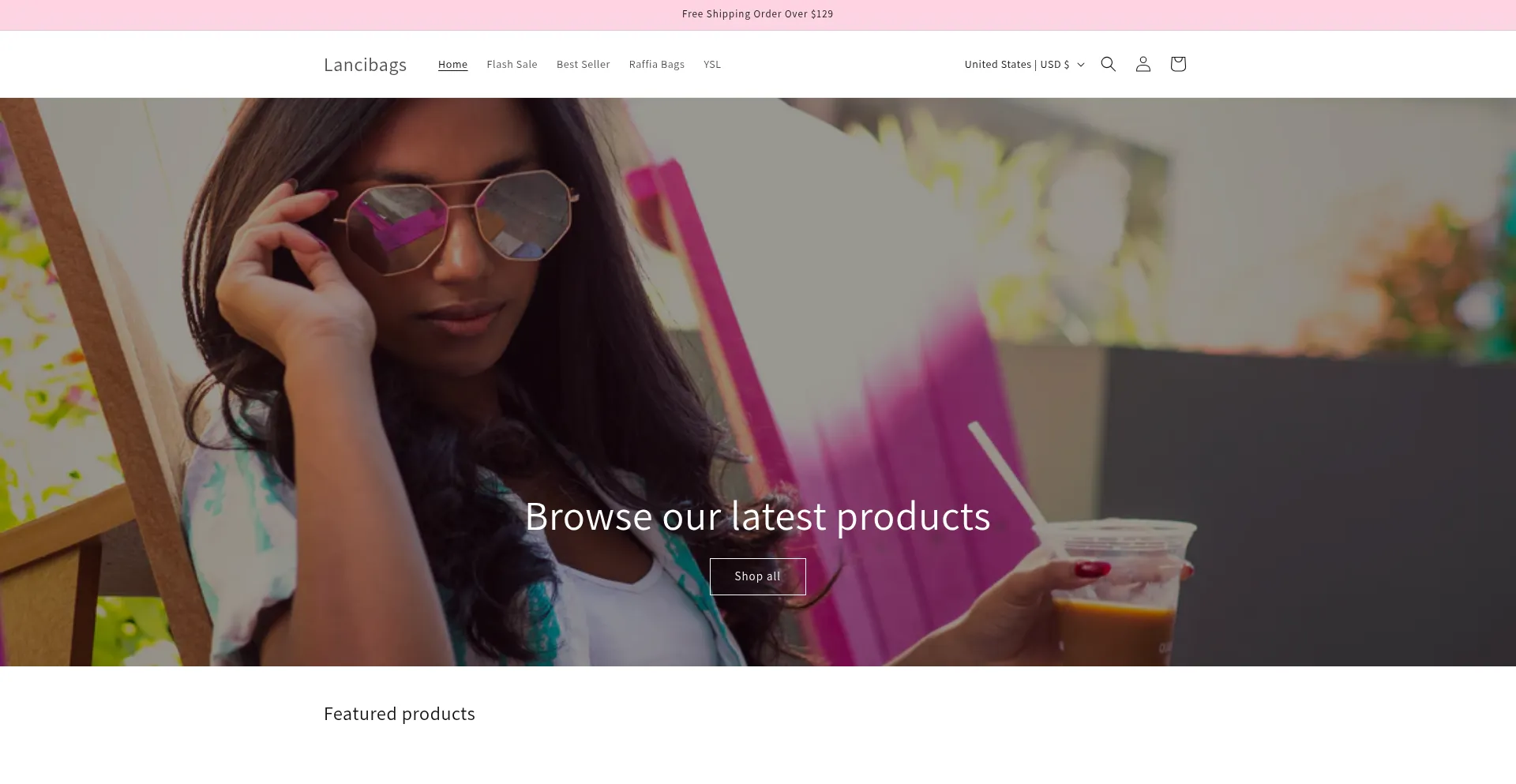 Website screenshot of Lancibags.com