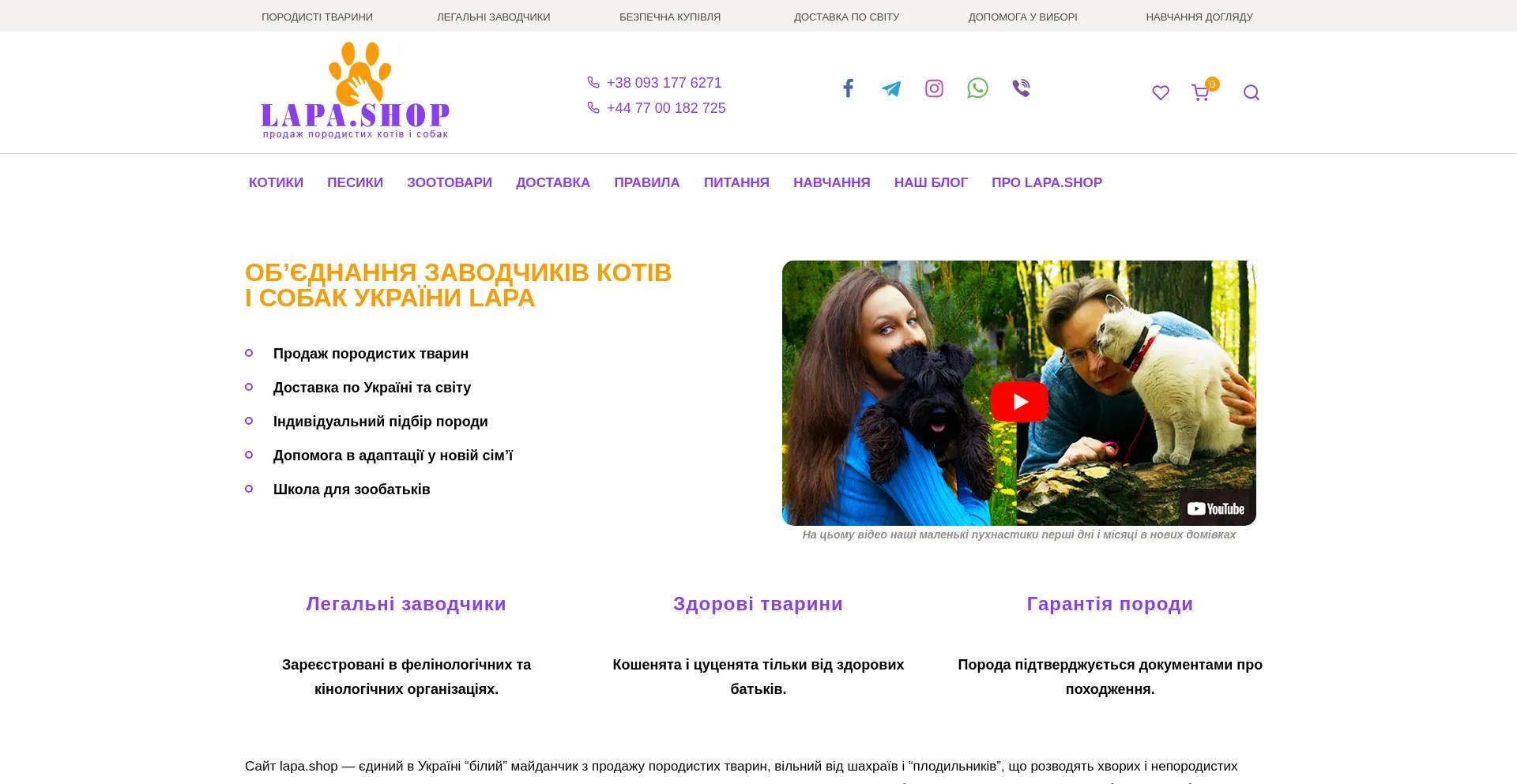 Website screenshot of Lapa.shop
