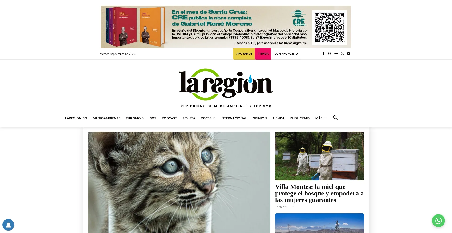 Laregion.bo é Seguro e Confiável?