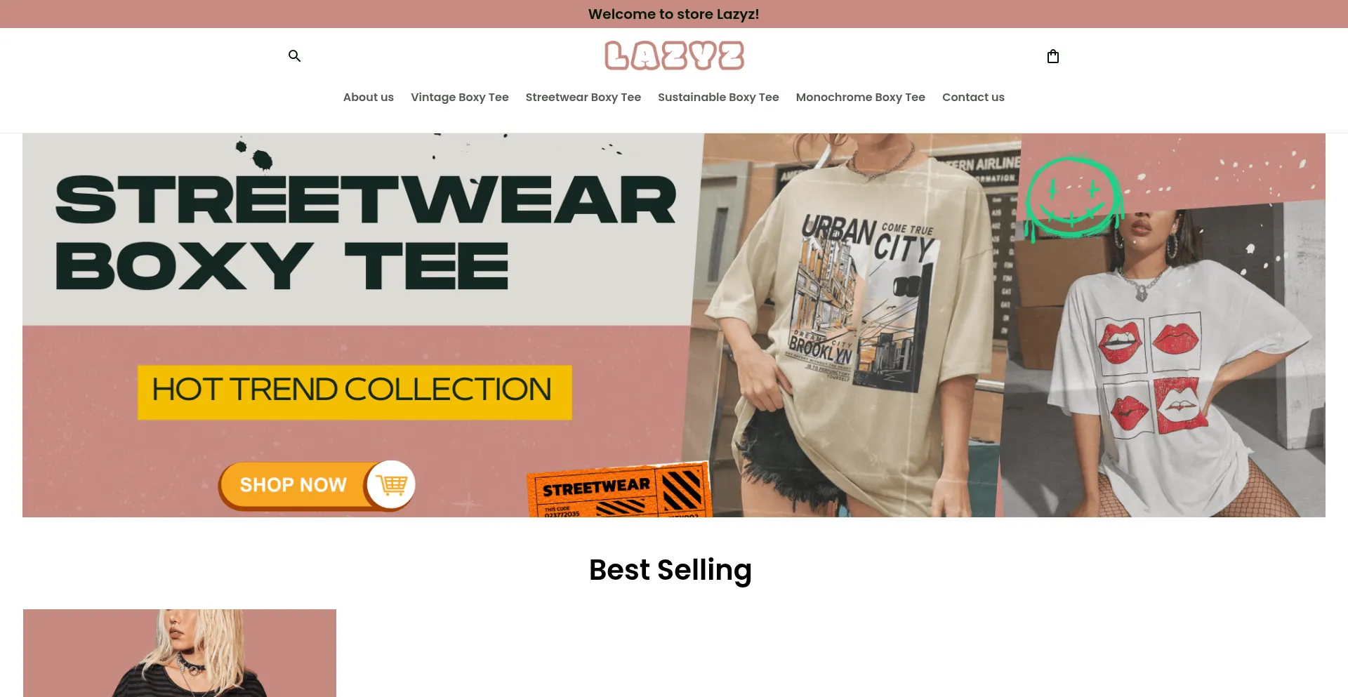 Website screenshot of Lazyz.store