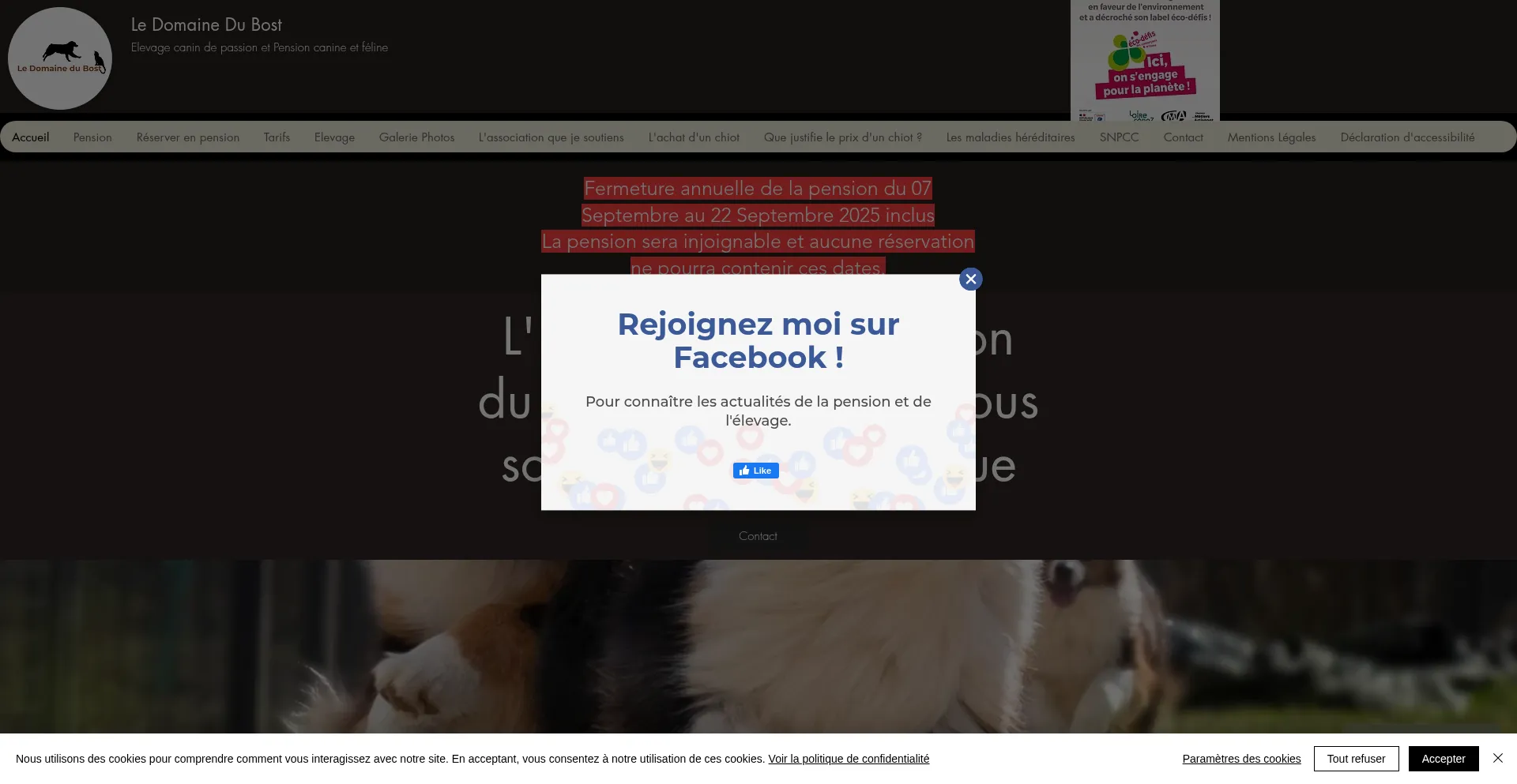 Website screenshot of Ledomainedubost.fr