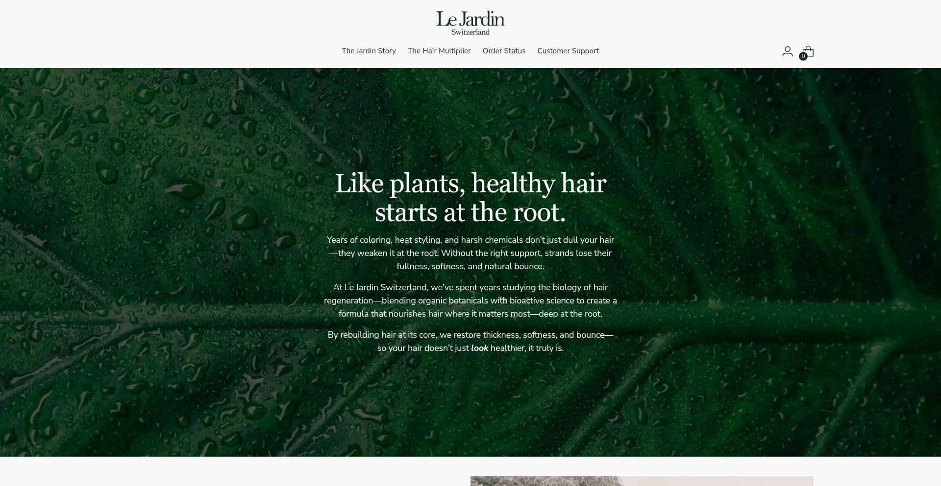 Website screenshot of Lejardinswitzerland.com