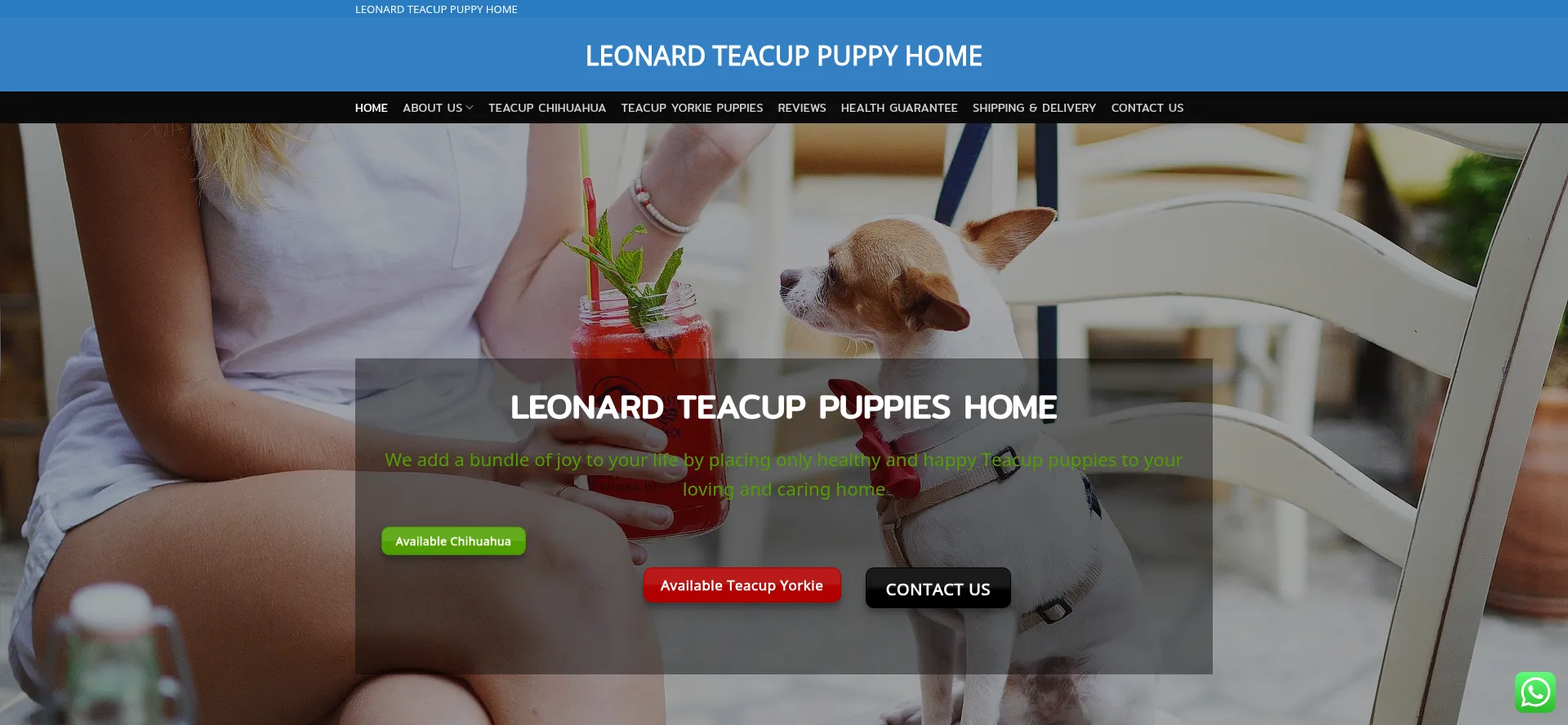 Leonardminiaturepuppyfamily.com