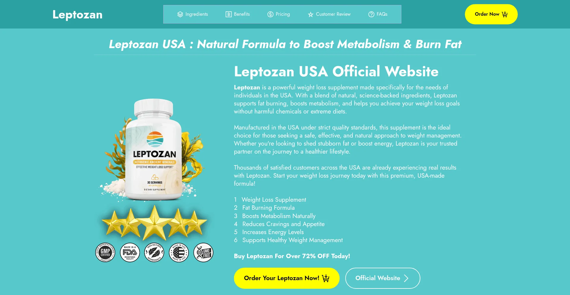 Website screenshot of Leptozan-leptozan.org
