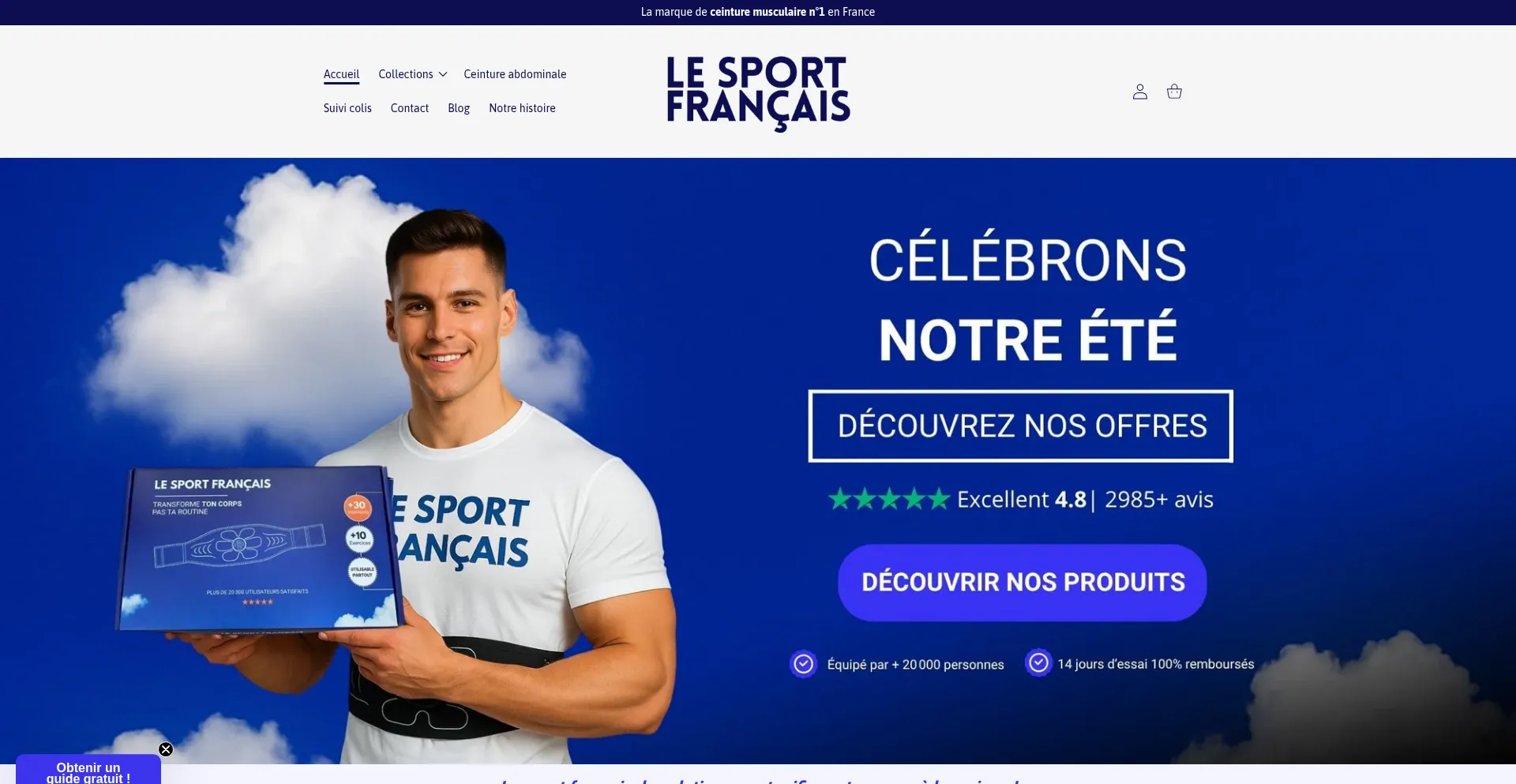 Website screenshot of Lesportfrancais.com