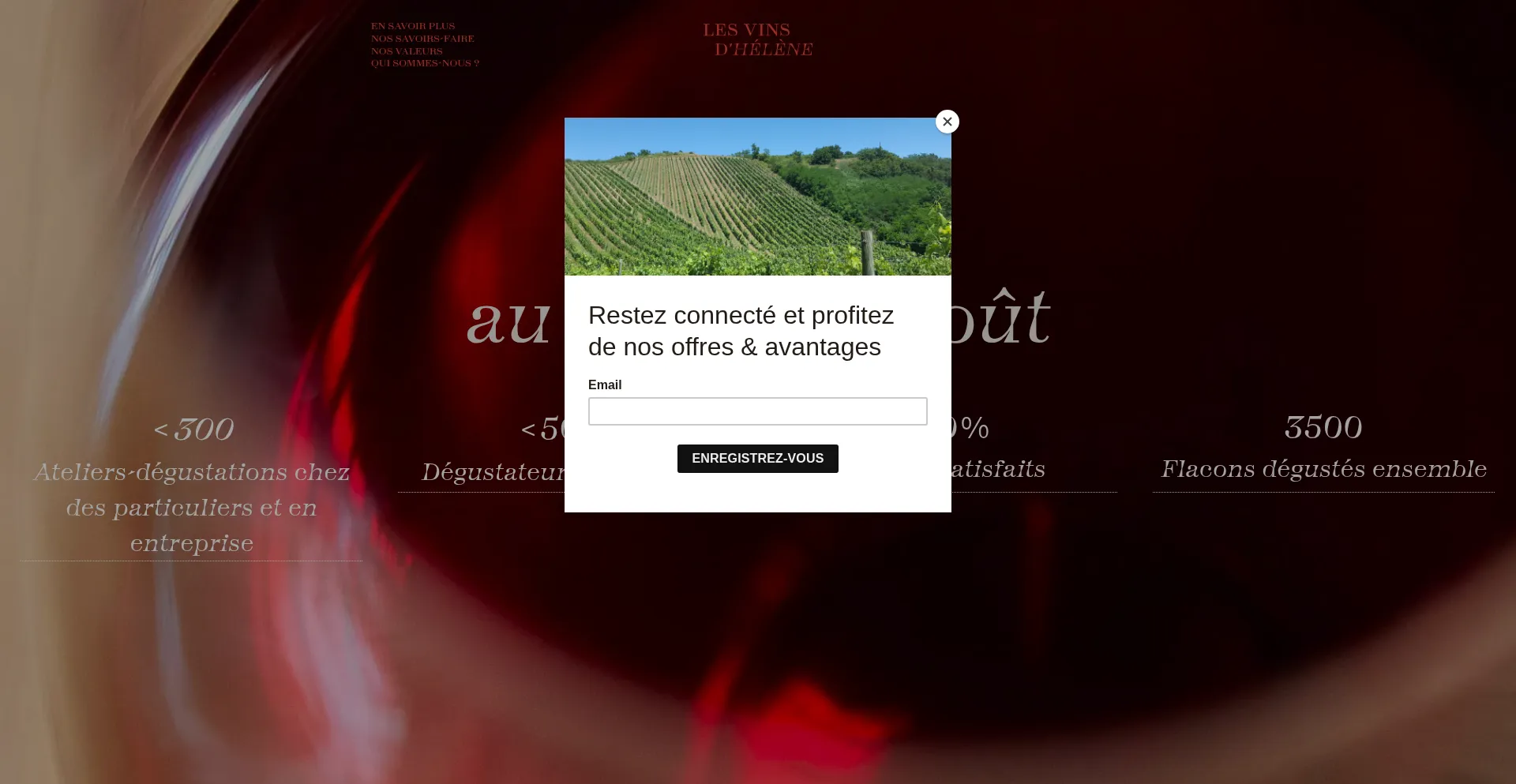 Lesvinsdhelene.com é Seguro e Confiável?