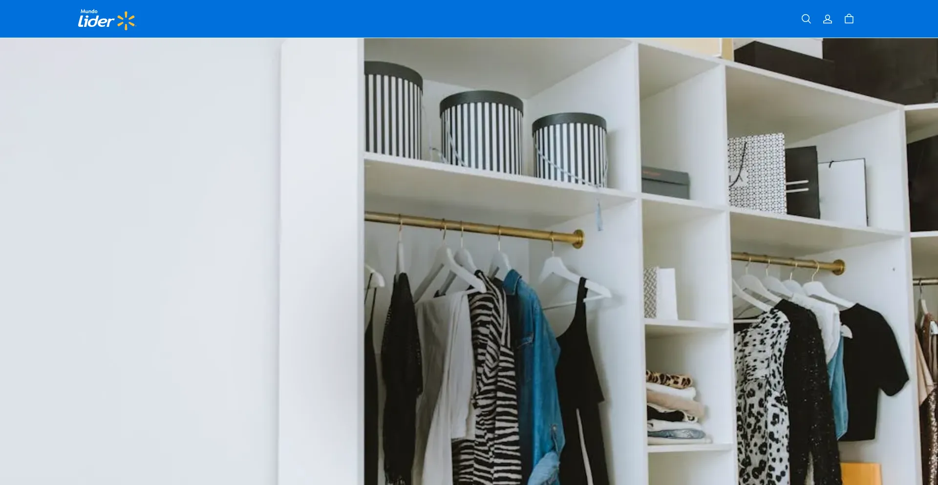 Lidestore.vip Screenshot