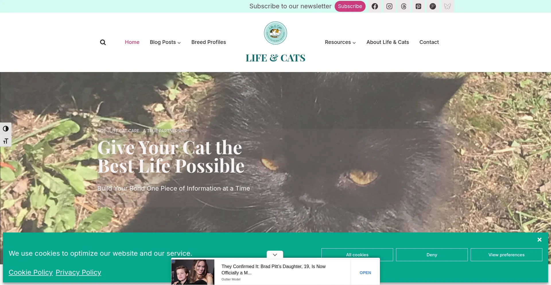 Lifeandcats.com