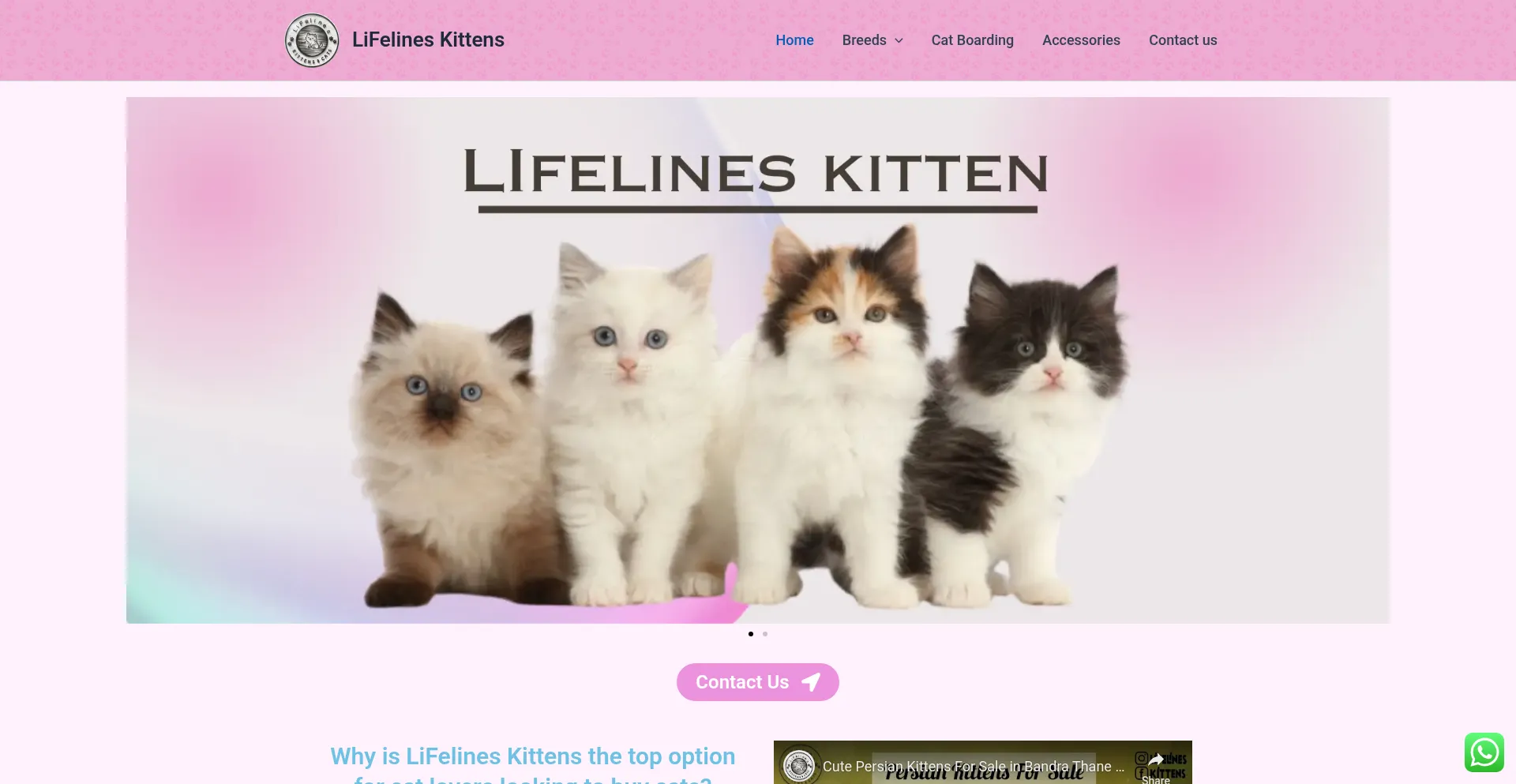 Lifelineskittens.in