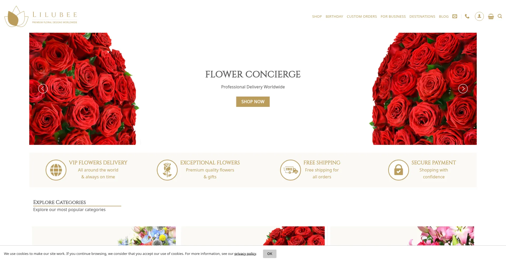 Website screenshot of Lilubee.com