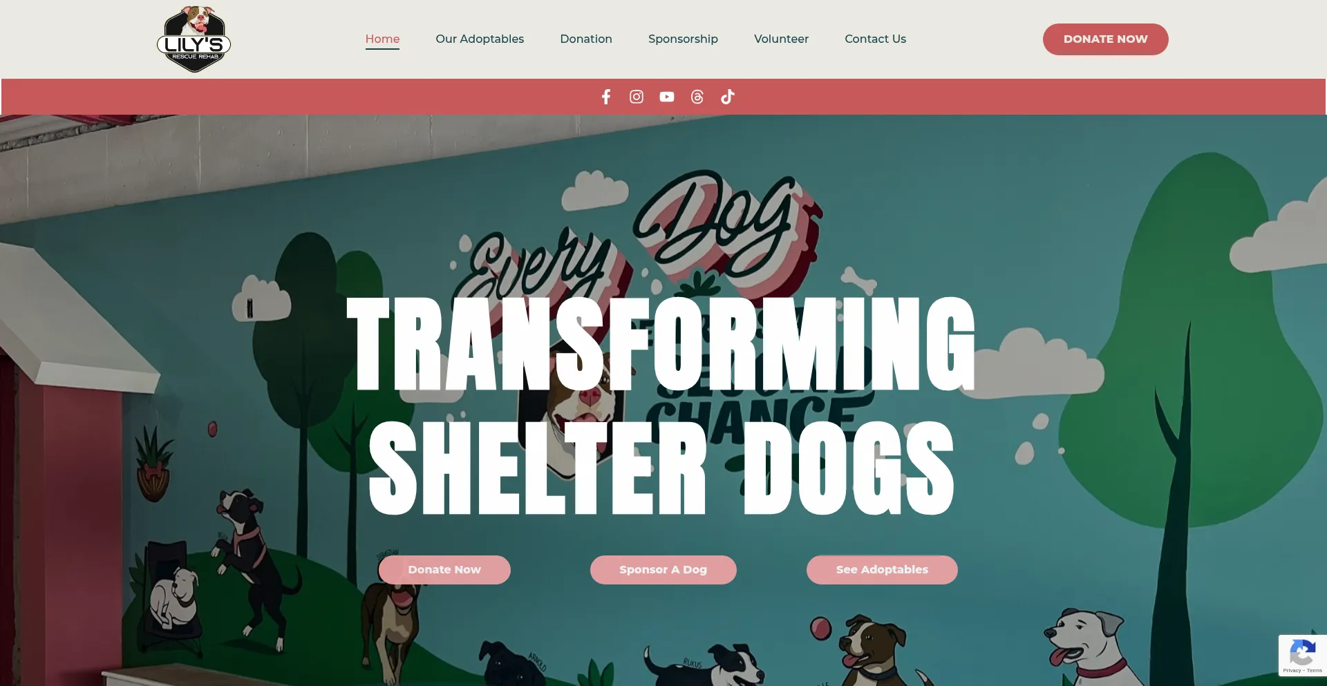 Lilysrescuerehab.org