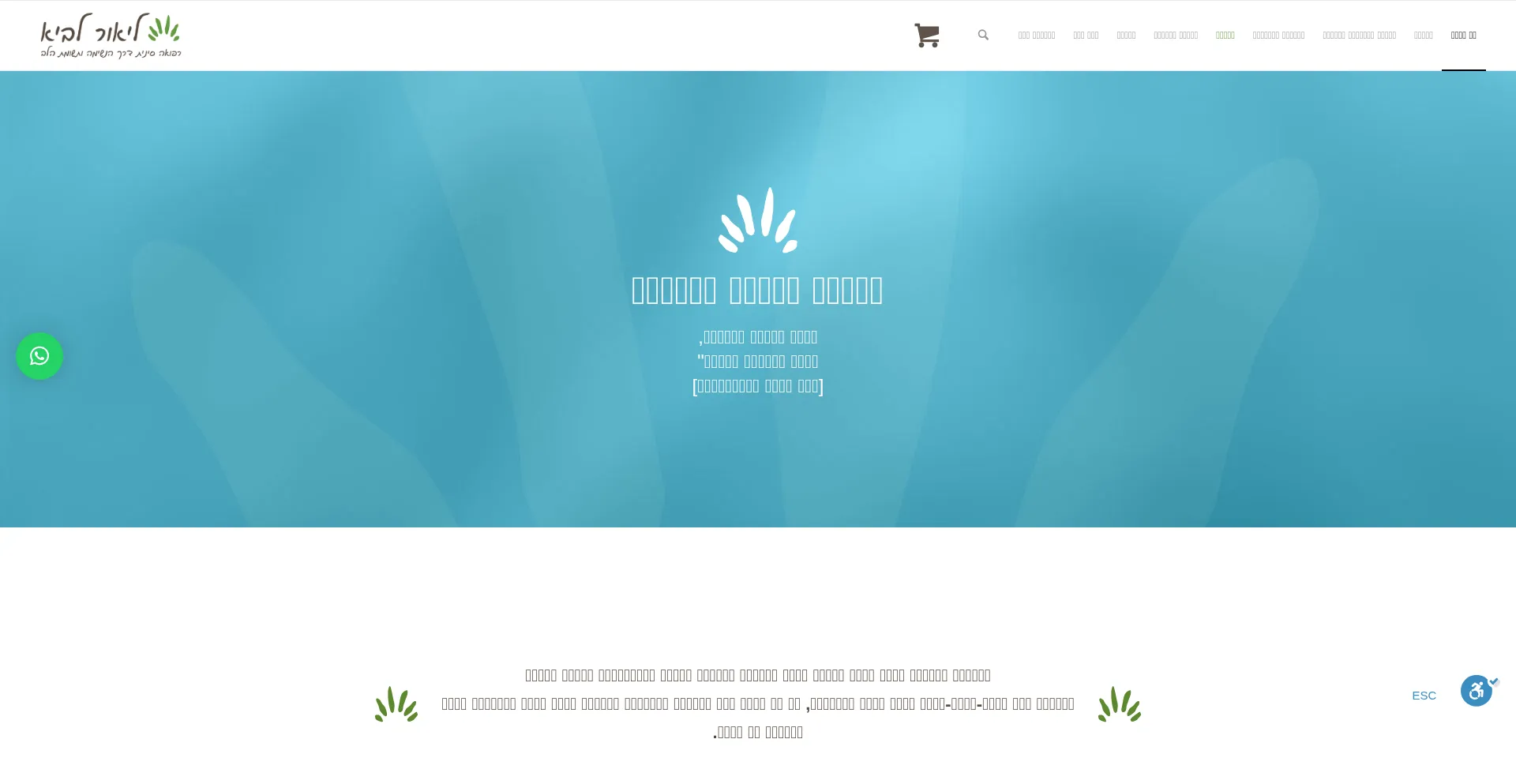 Liorlavi.com
