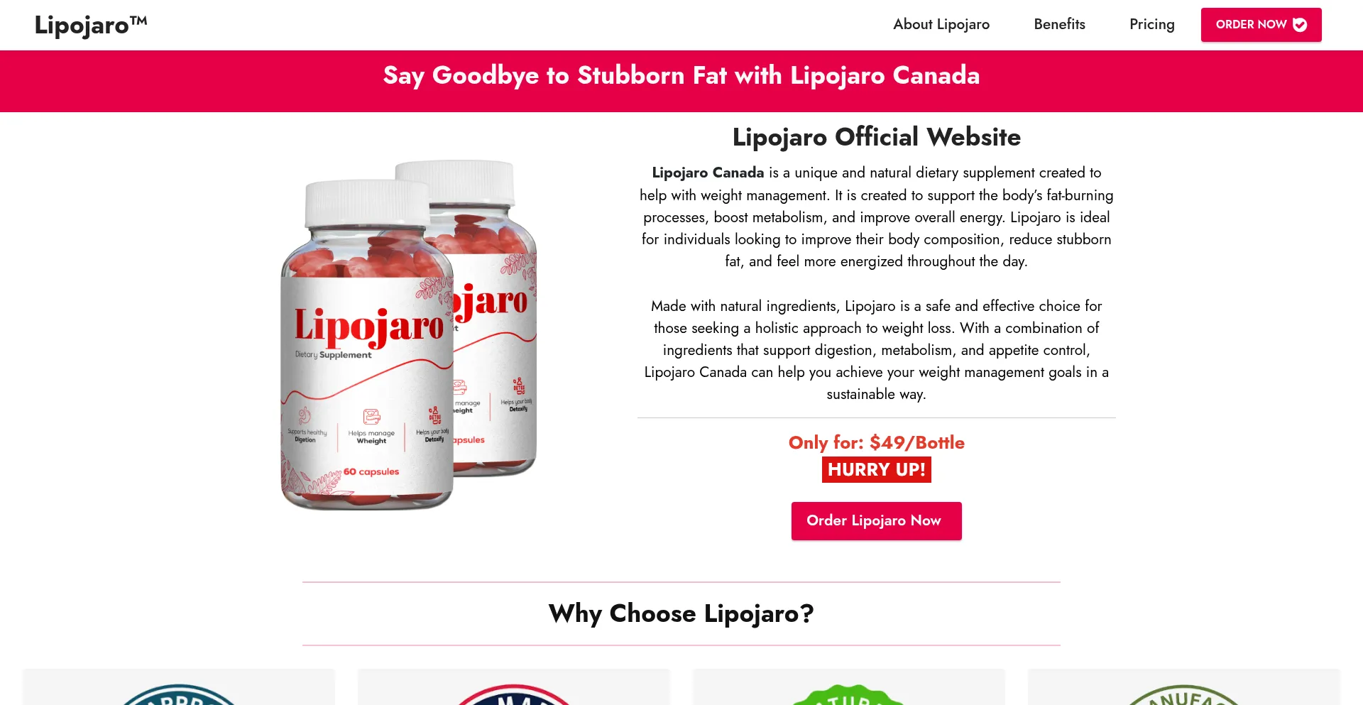 Website screenshot of Lipojaro-ca.ca