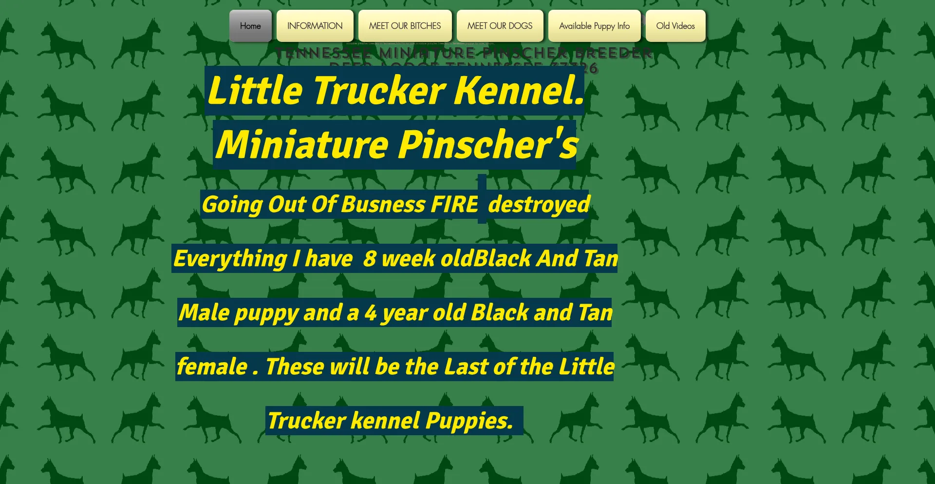 Littletruckerkennel.com é Seguro e Confiável?