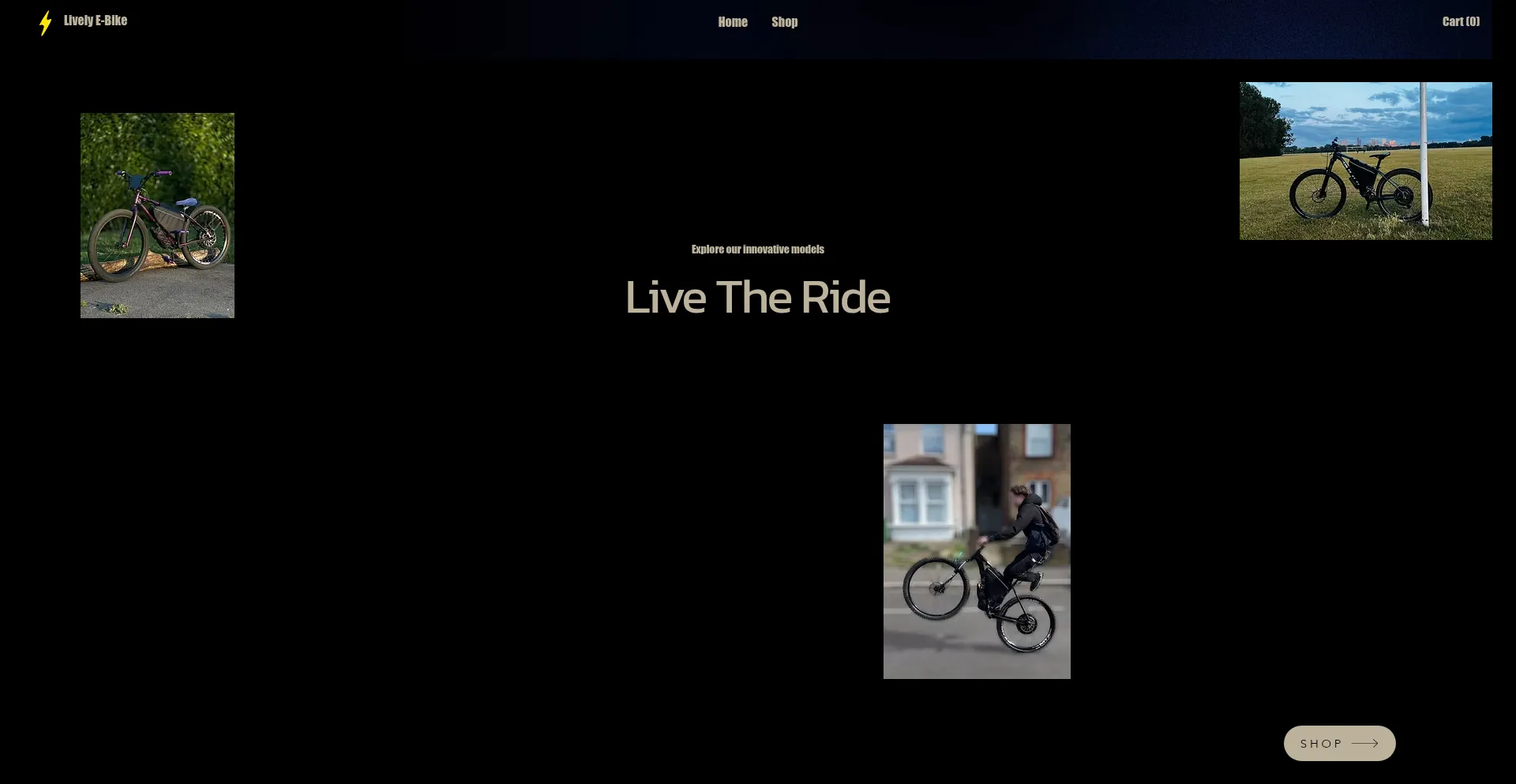 Website screenshot of Lively-ebike.co.uk
