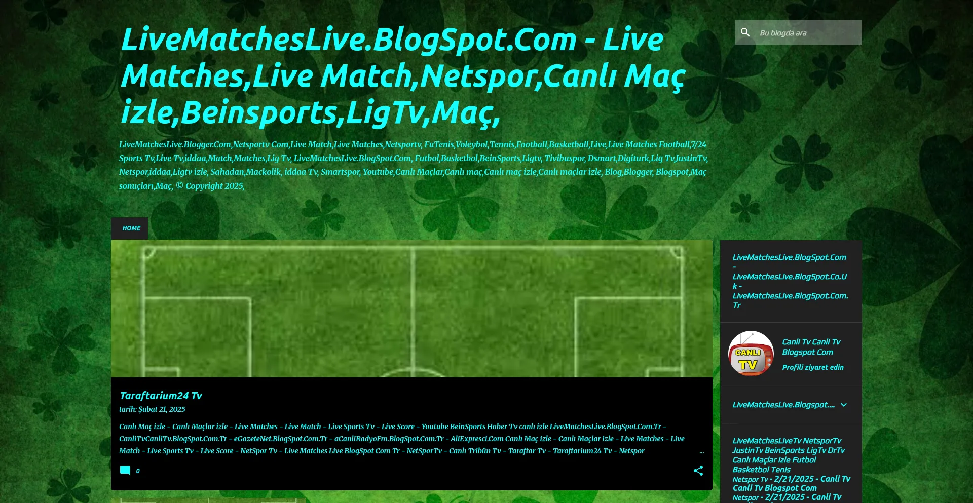 Website screenshot of Livematcheslive.blogspot.com.tr