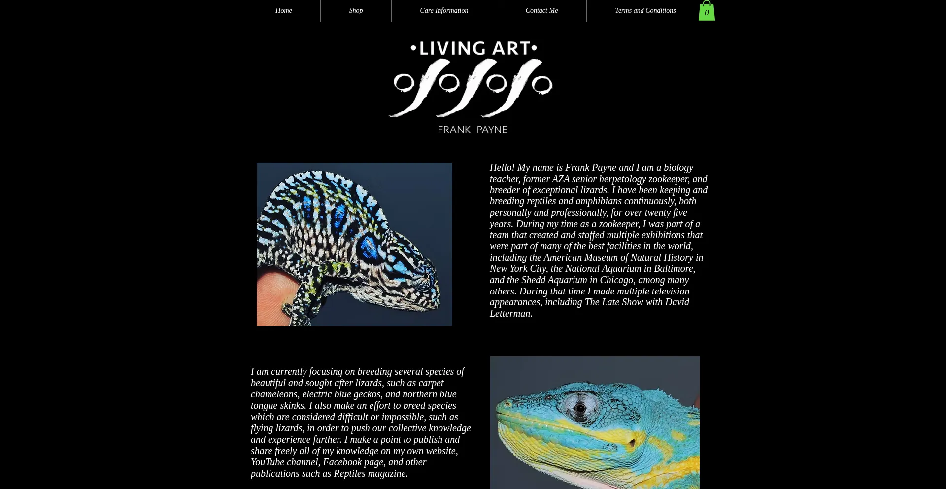 Website screenshot of Livingartbyfrankpayne.com