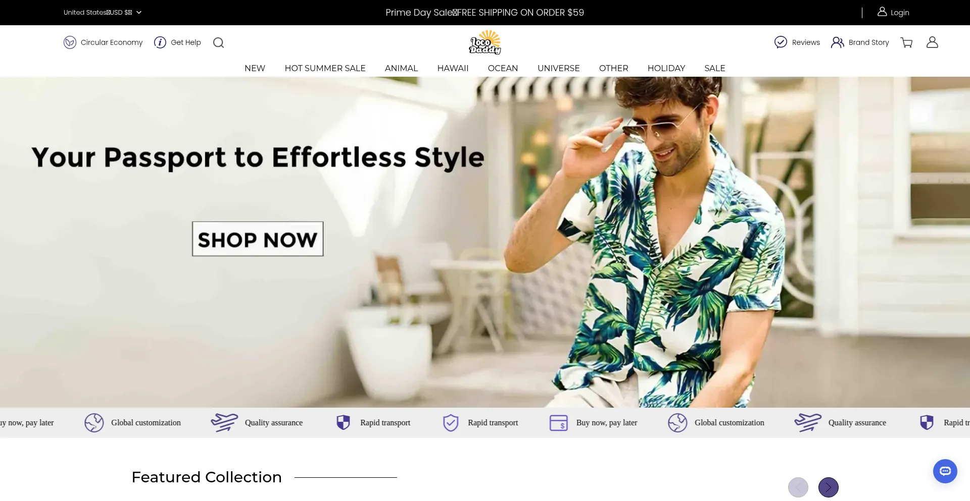 Website screenshot of Locodaddy.com