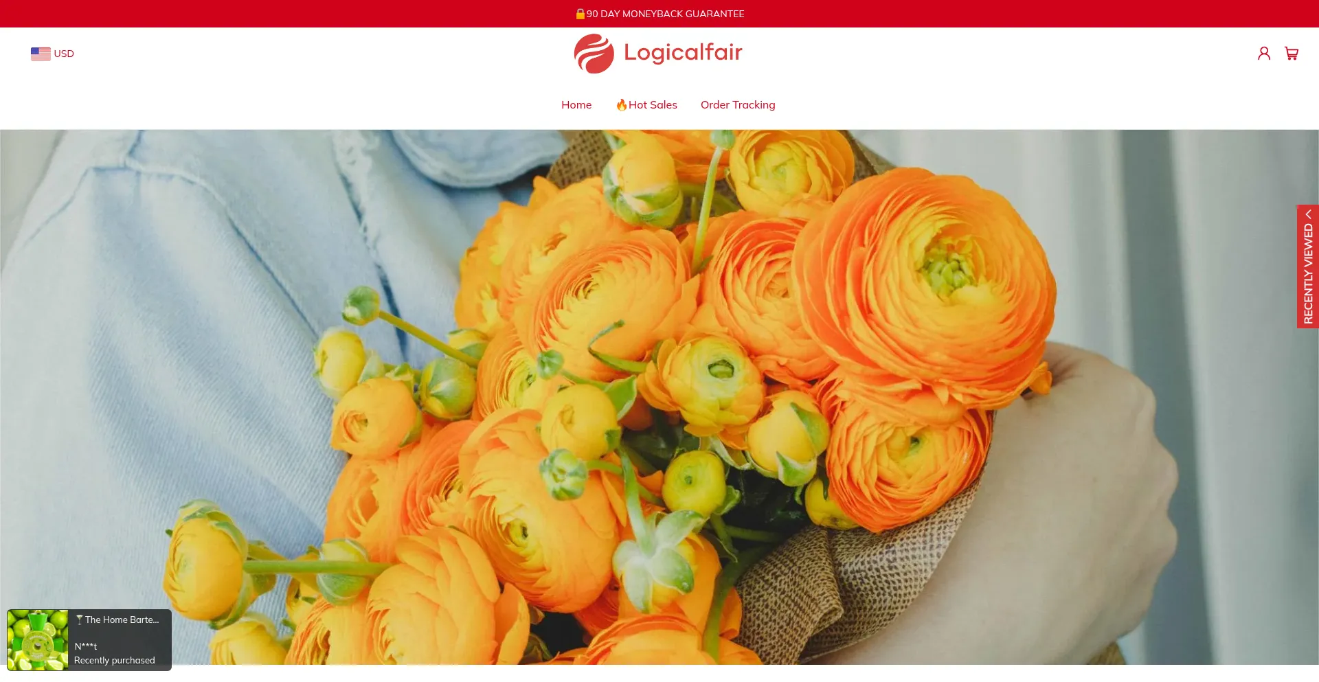 Logicalfair.com