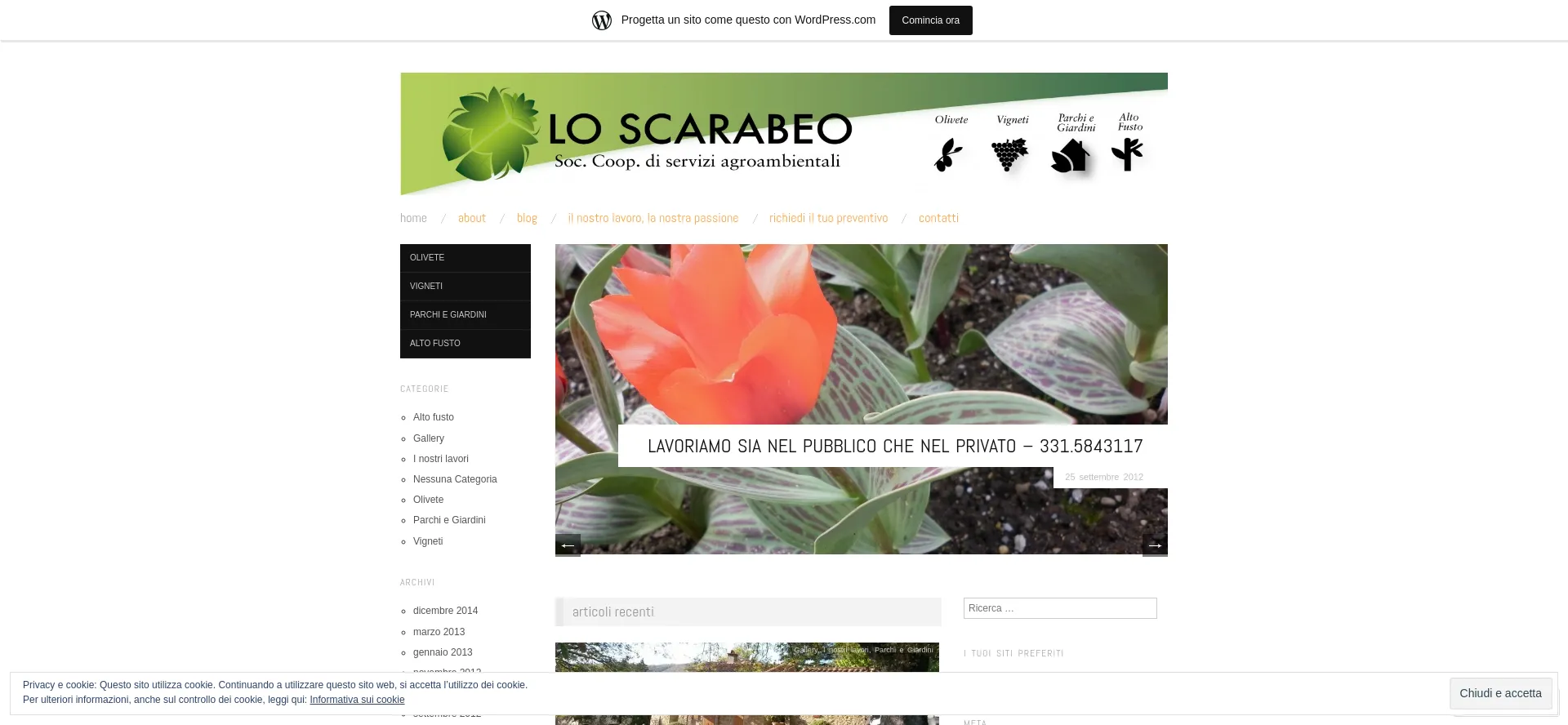 Loscarabeocoop.wordpress.com