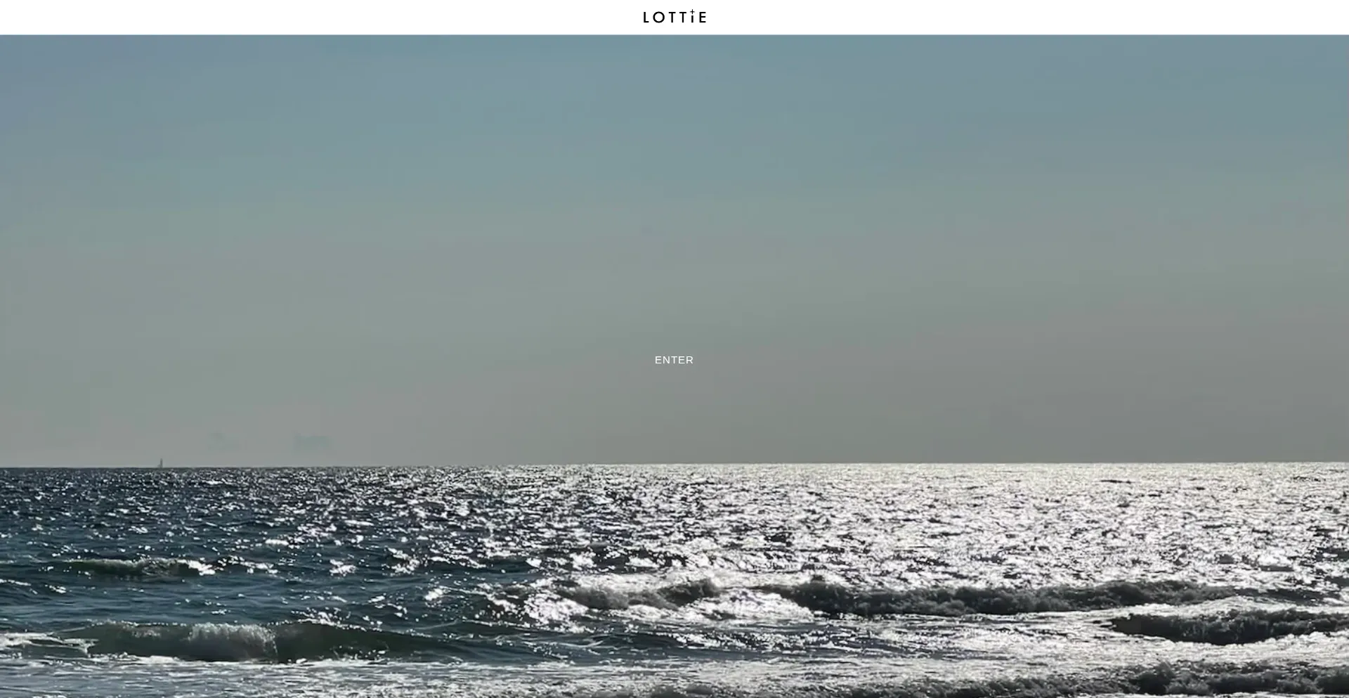 Lottienyc.com Screenshot