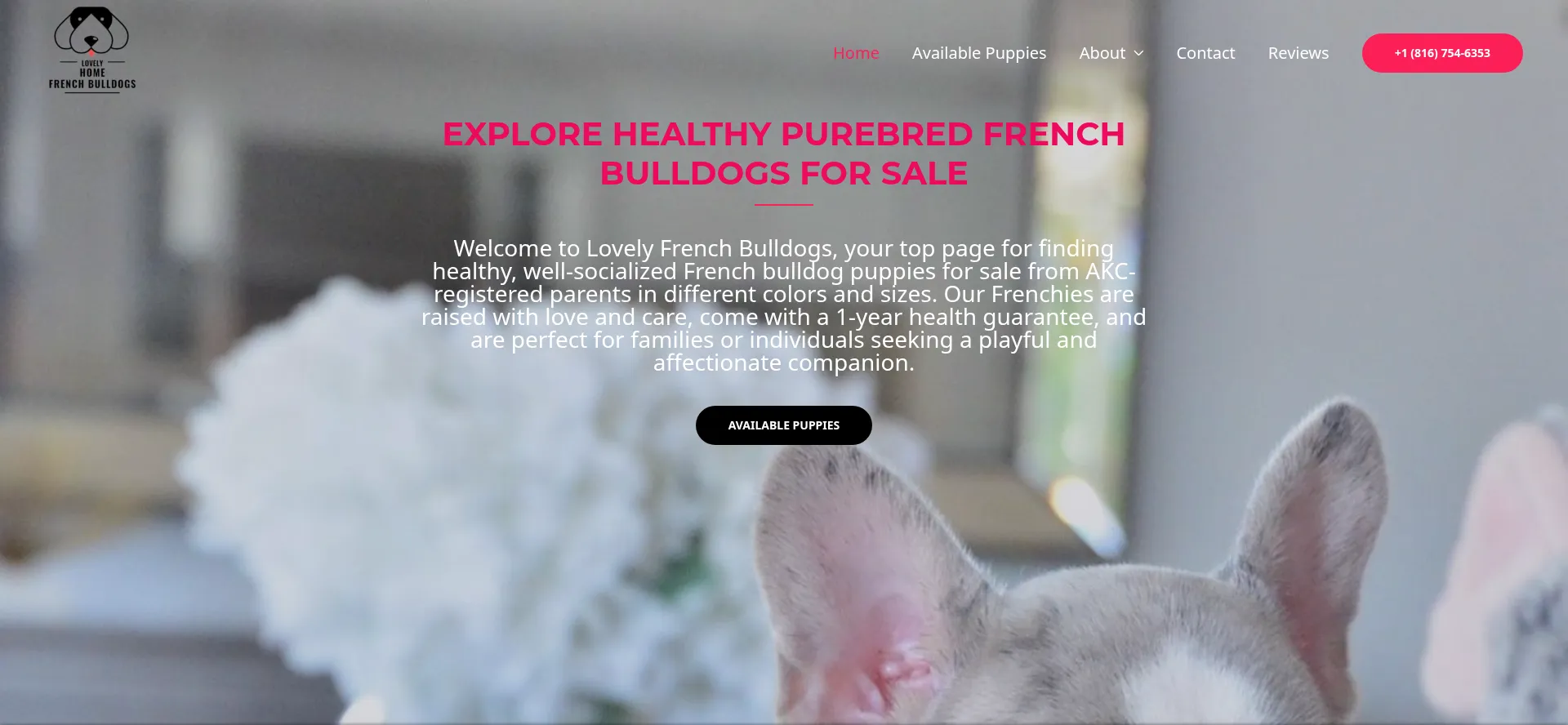 Lovelyfrenchbulldogs.com