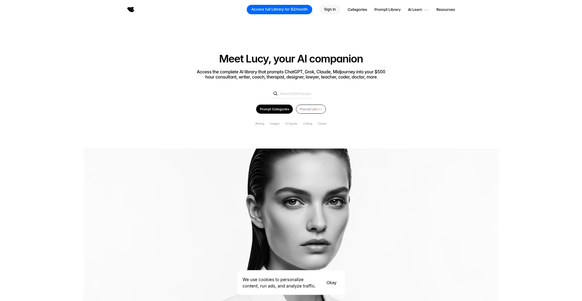 Website screenshot of Lucybrain.com