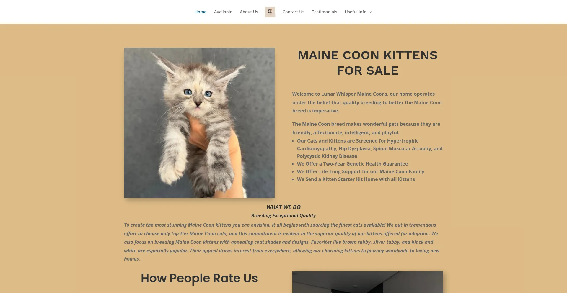 Lunarwhispermainecoons.store é Seguro e Confiável?