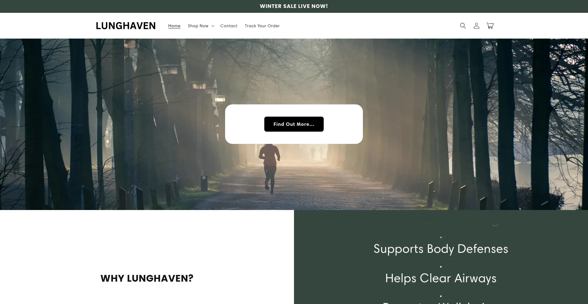Website screenshot of Lunghaven.com