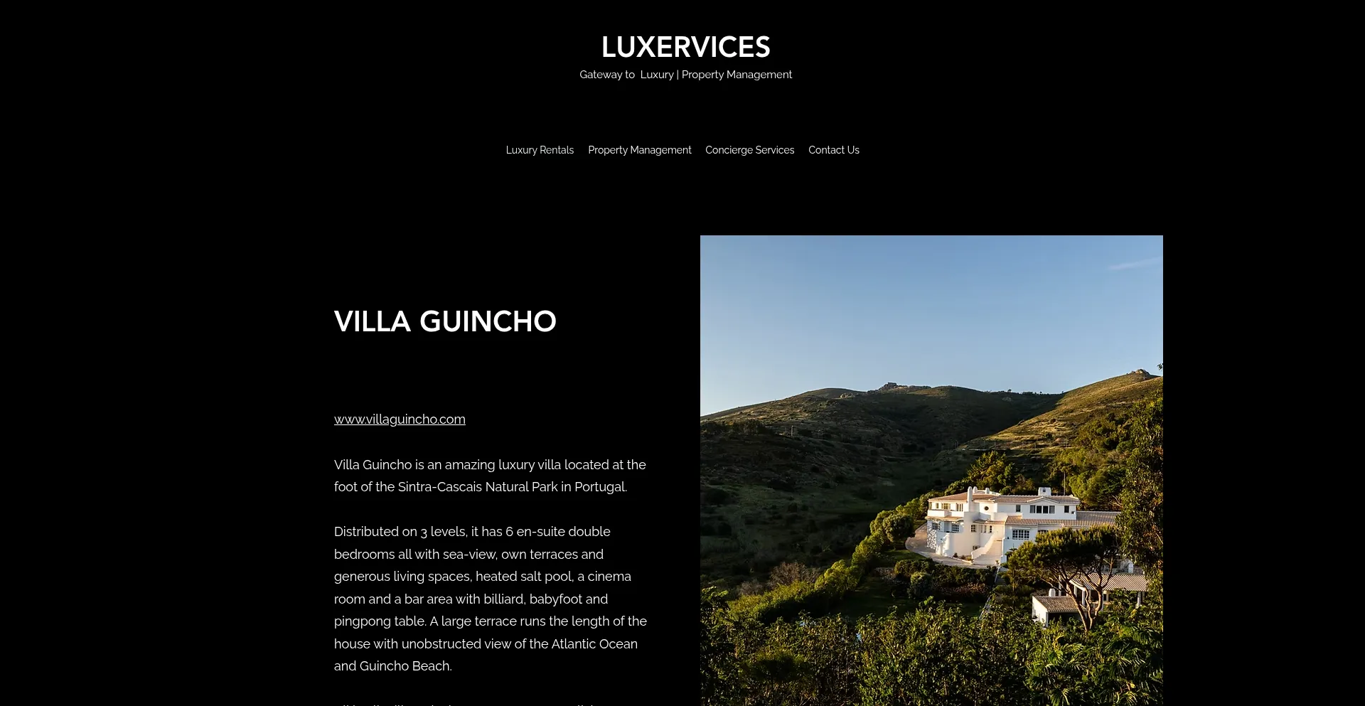 Website screenshot of Luxervices.com